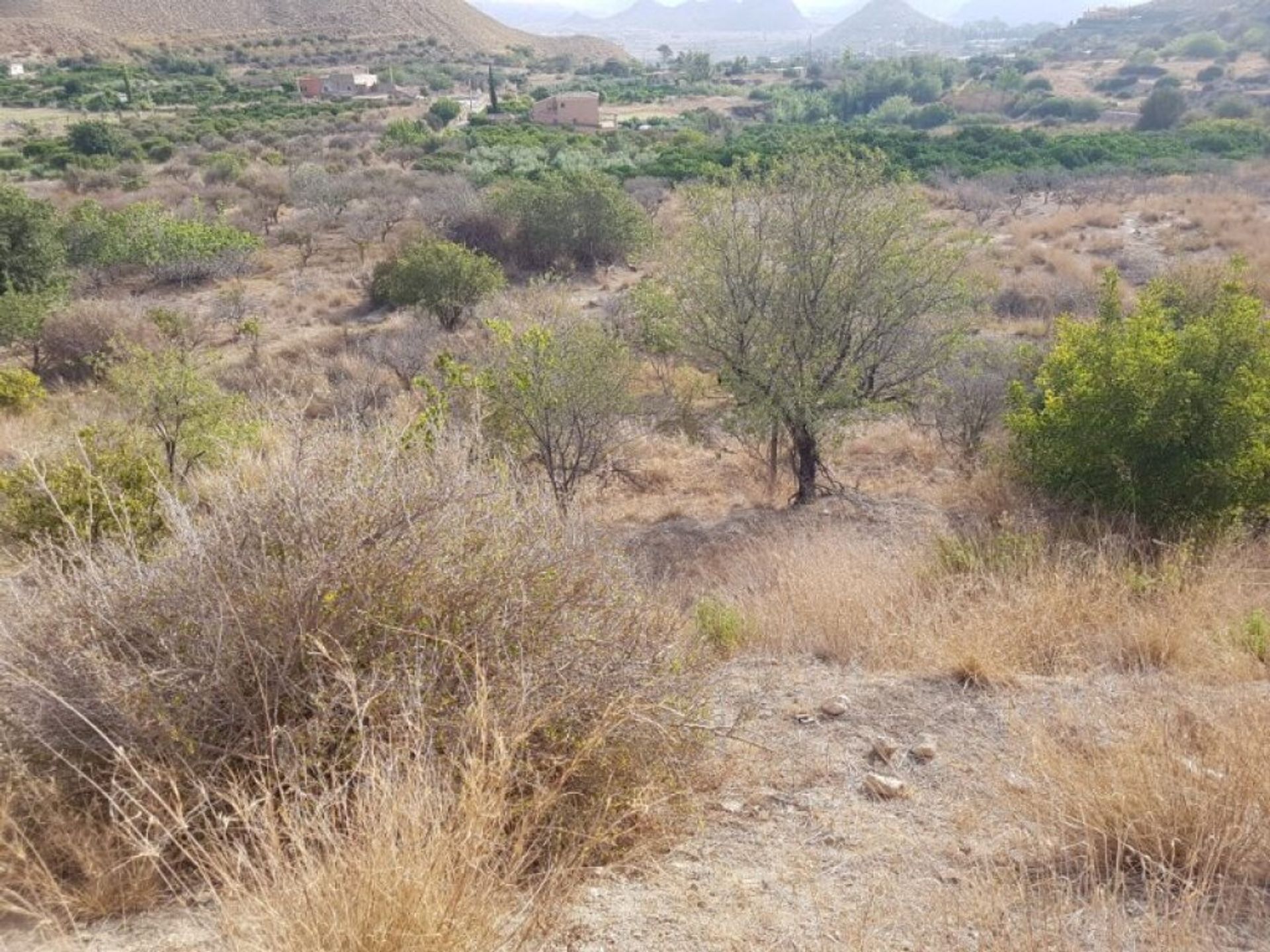 Terra no Mojácar, Andaluzia 11782892