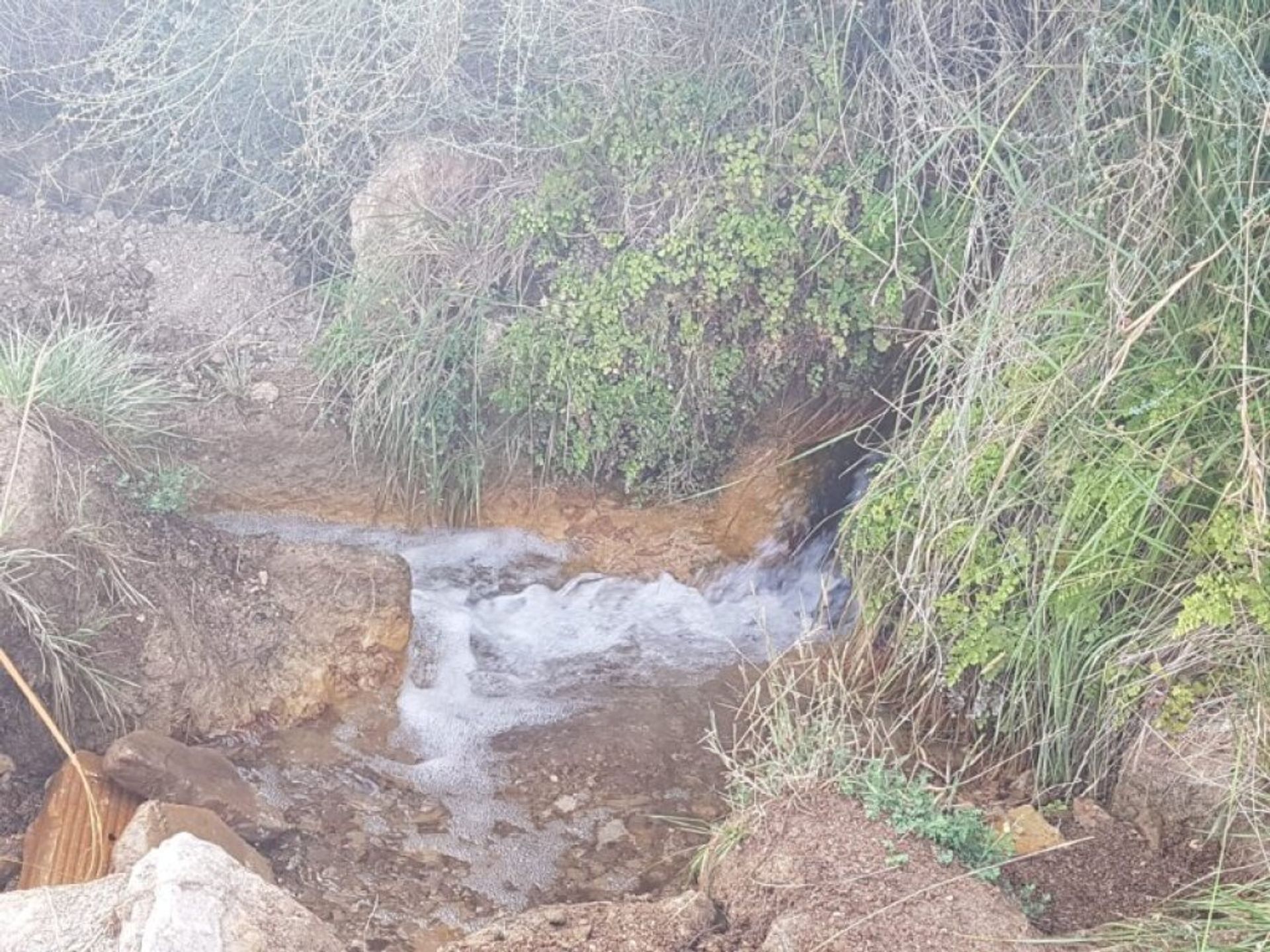 Terra no Mojácar, Andaluzia 11782892