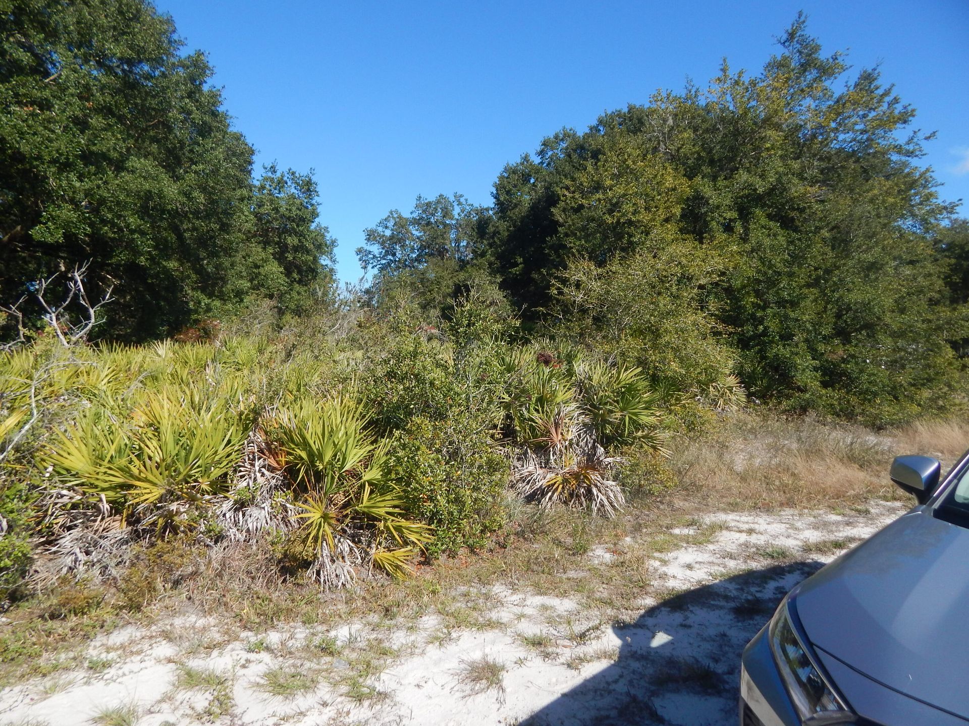 Комерційний в Lake Wales, Florida 11783060