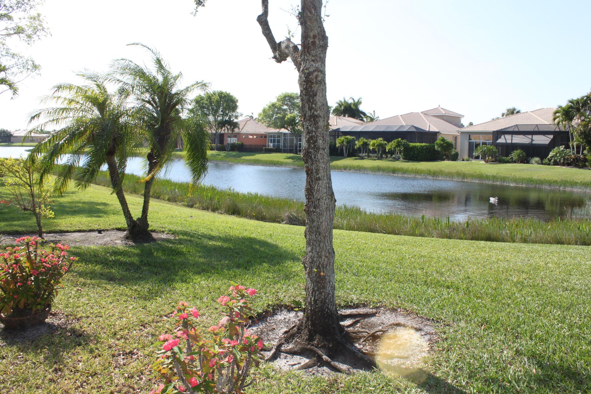 casa en Wellington, Florida 11783071