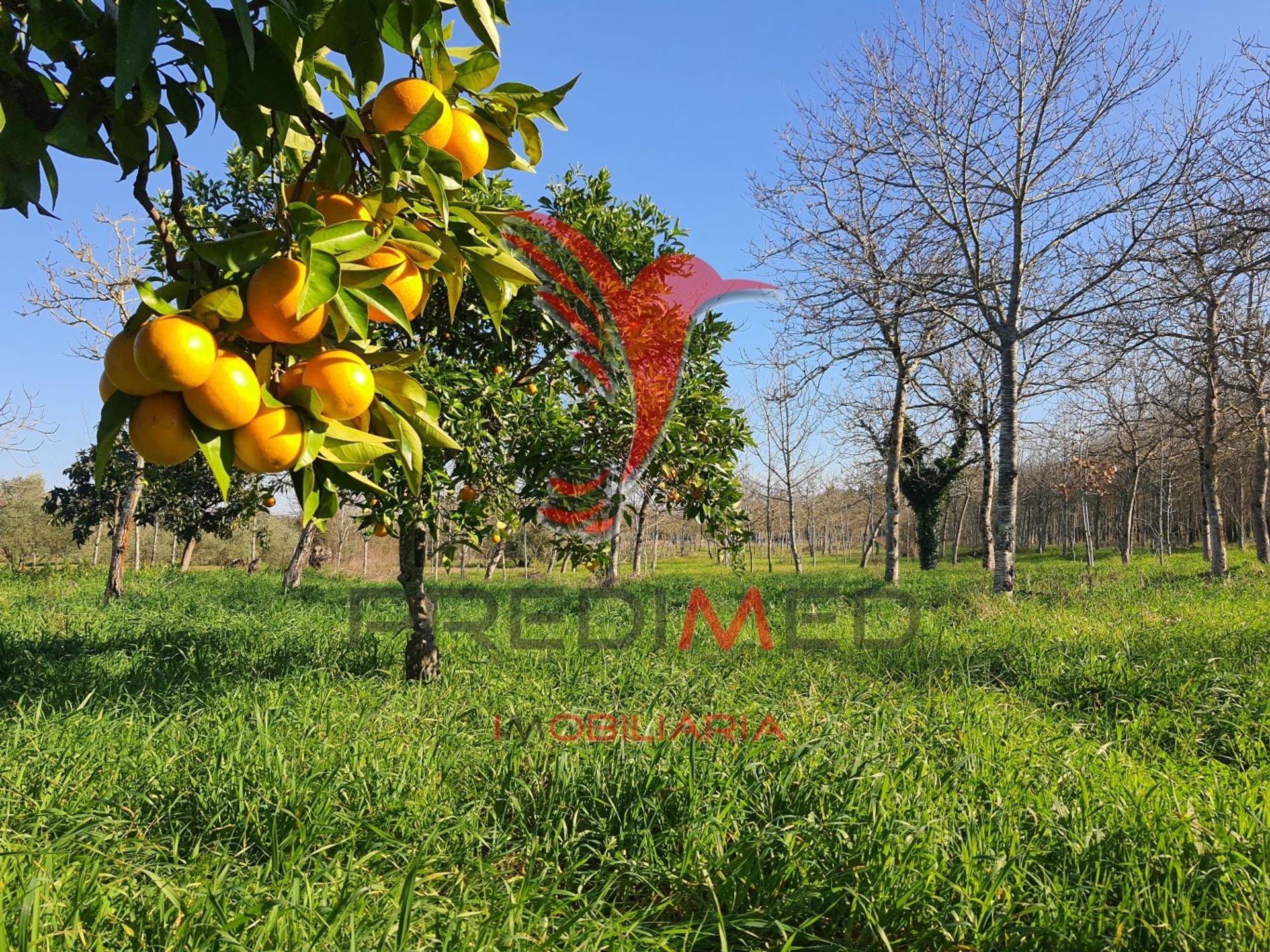 Condomínio no Vilarinho do Bairro, Aveiro 11784179