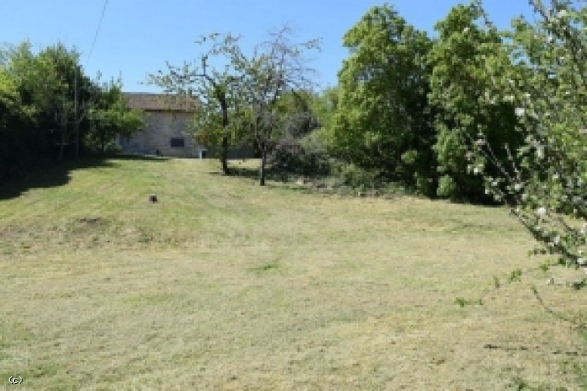 Γη σε Verteuil-sur-Charente, Nouvelle-Aquitaine 11785576