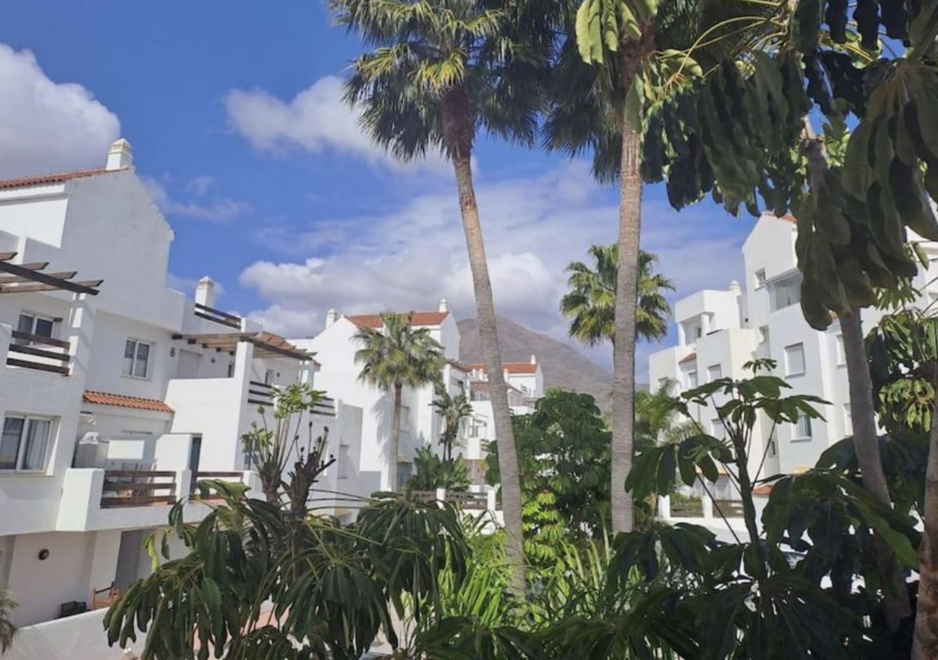 सम्मिलित में Estepona, Andalucía 11786567