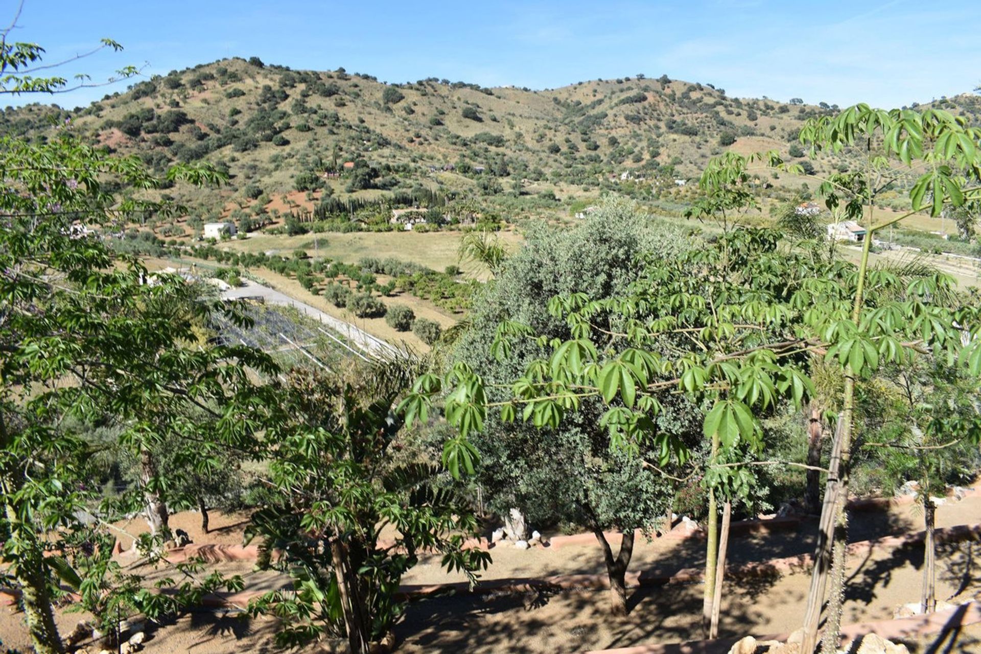 жилой дом в , Andalucía 11786657