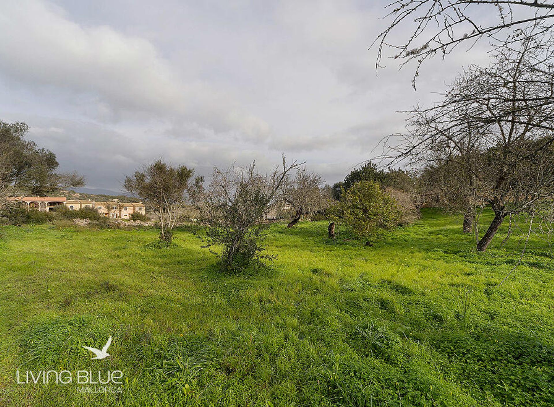 بيت في Pòrtol, Balearic Islands 11788478