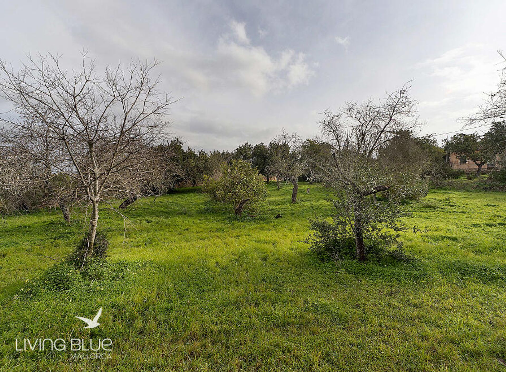 بيت في Pòrtol, Balearic Islands 11788478