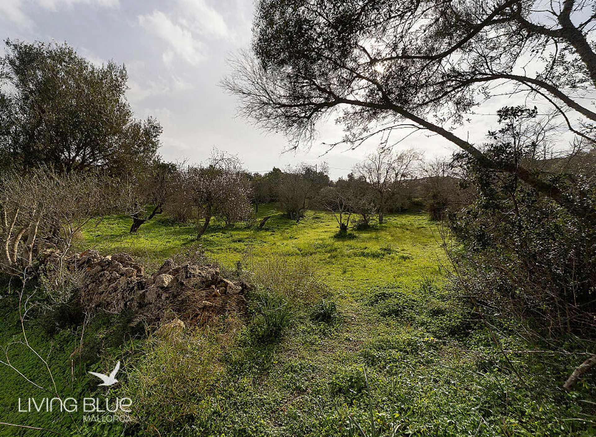 بيت في Pòrtol, Balearic Islands 11788478