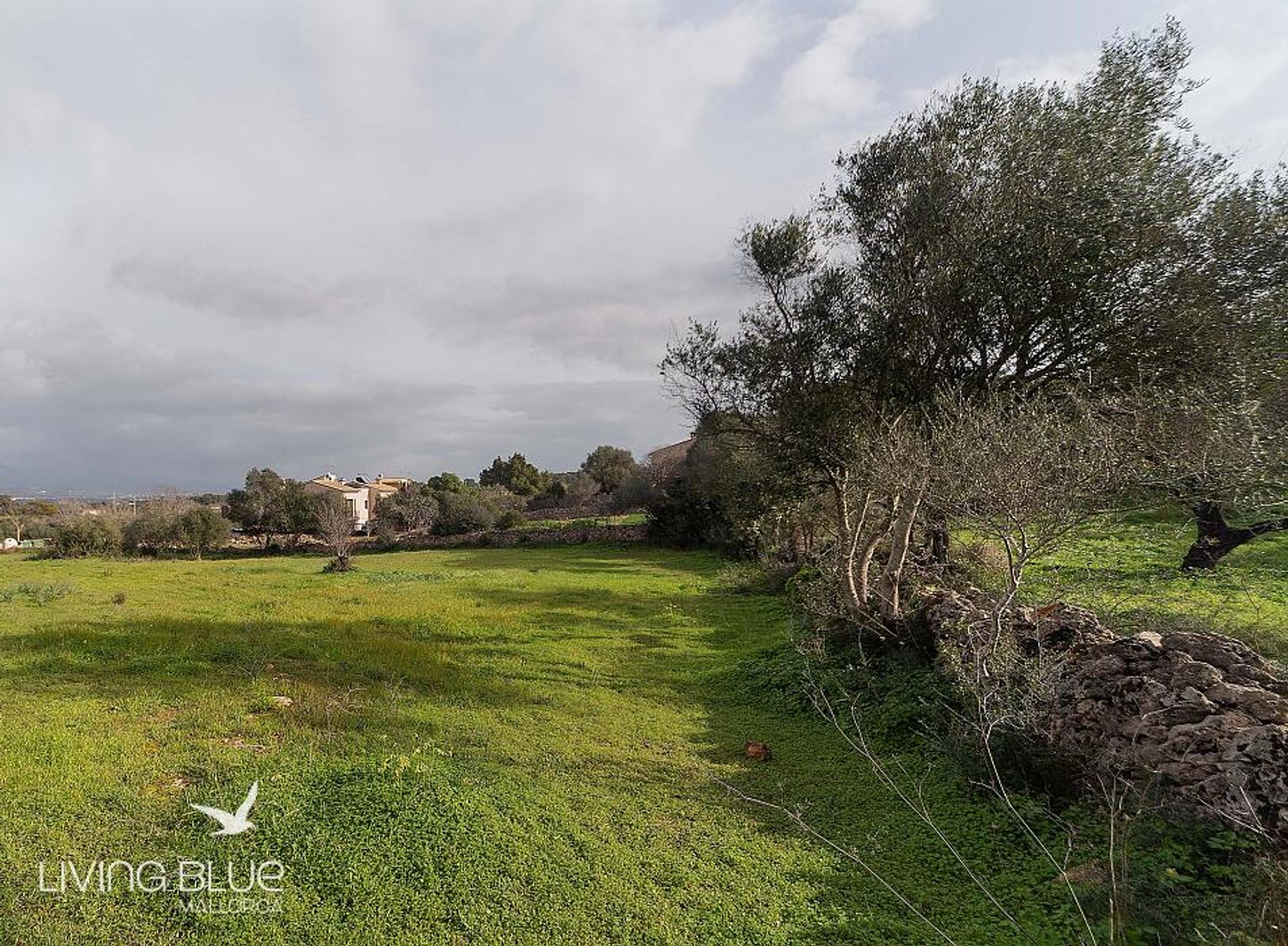 loger dans La Cabaneta, les Îles Baléares 11788480