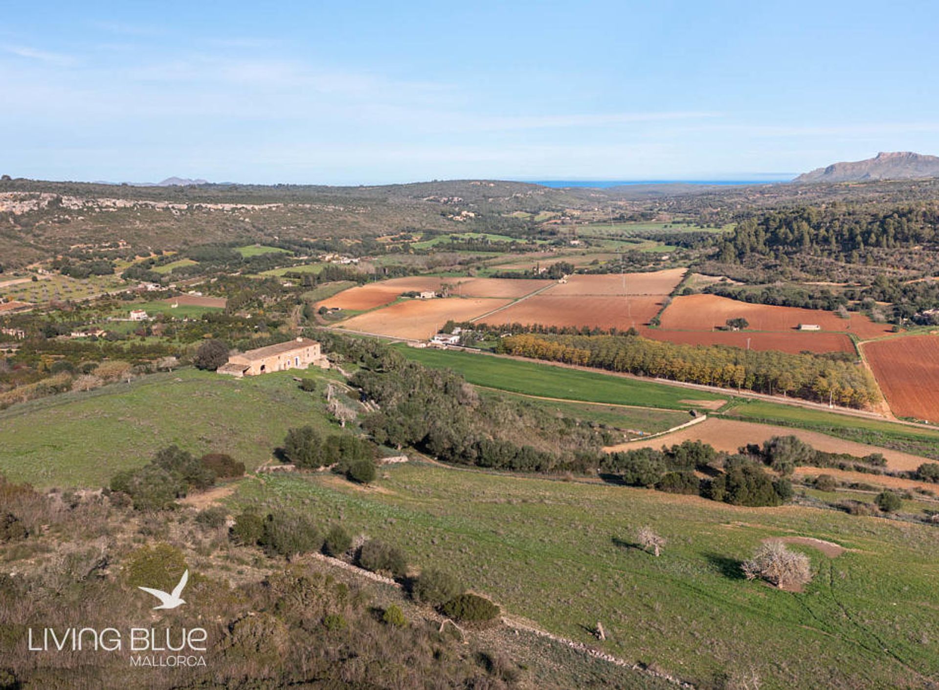 Autre dans Manacor, les Îles Baléares 11788597