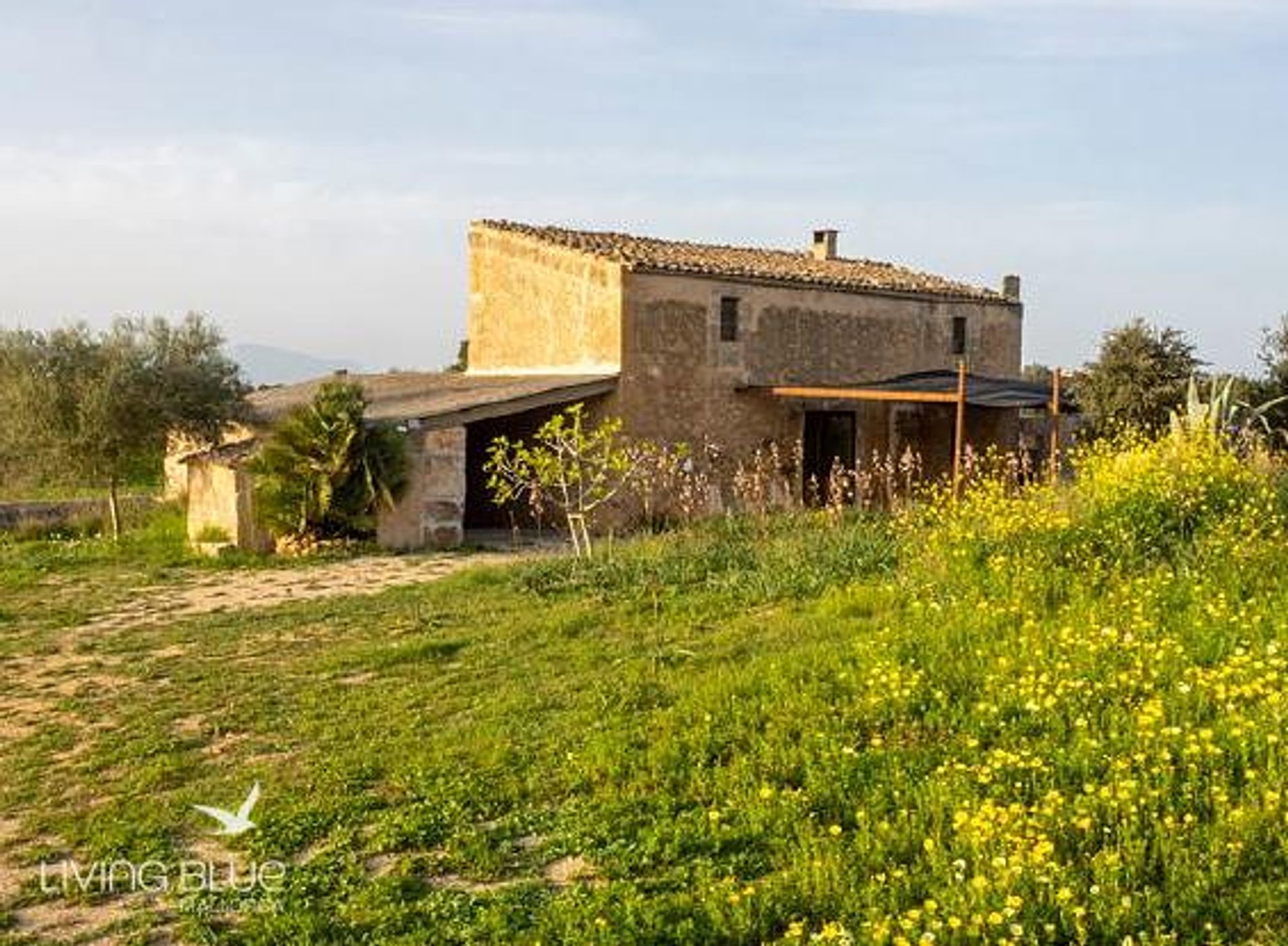 Muu sisään Algaida, Balearic Islands 11788757