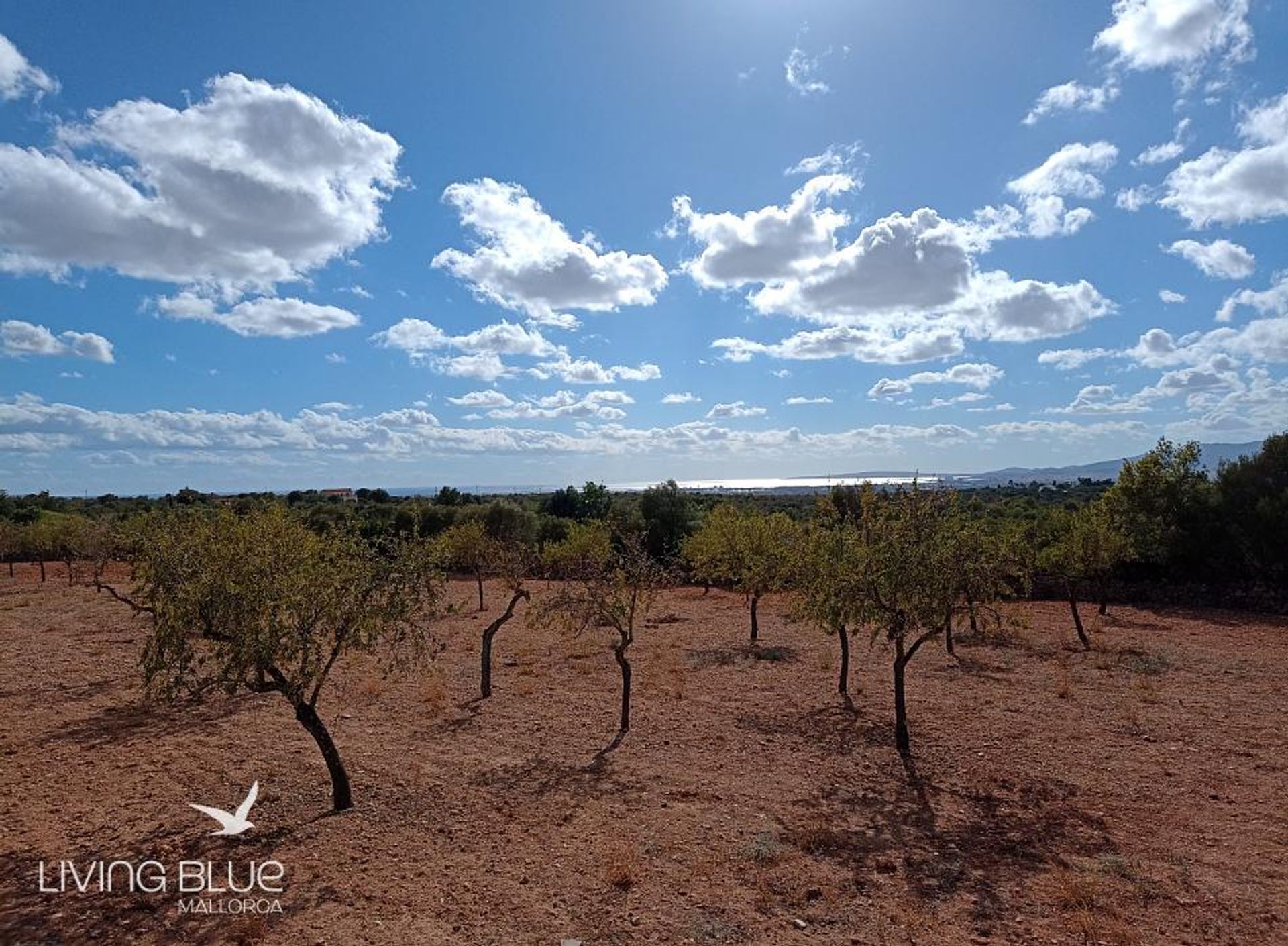 بيت في Pòrtol, Balearic Islands 11788763