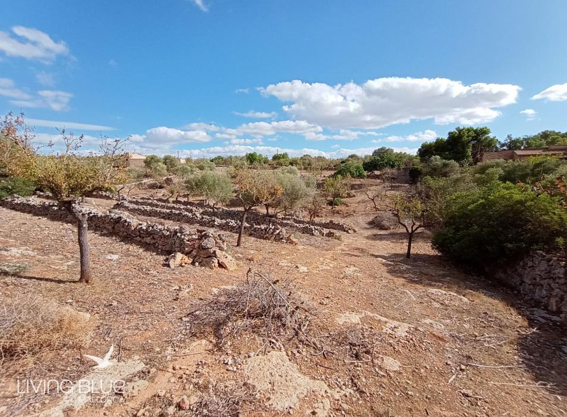 casa no La Cabaneta, Ilhas Baleares 11788763