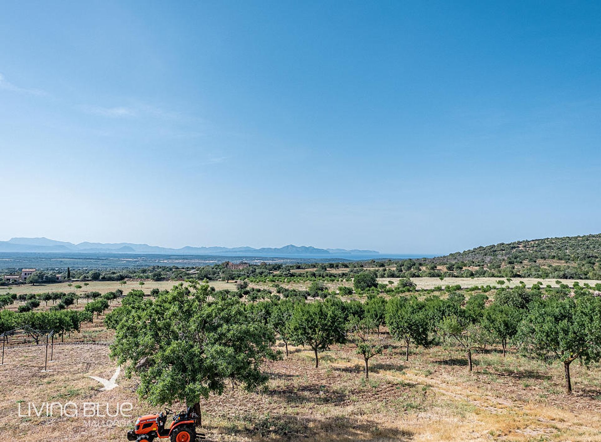 Altro nel Santa Margalida, Balearic Islands 11789074