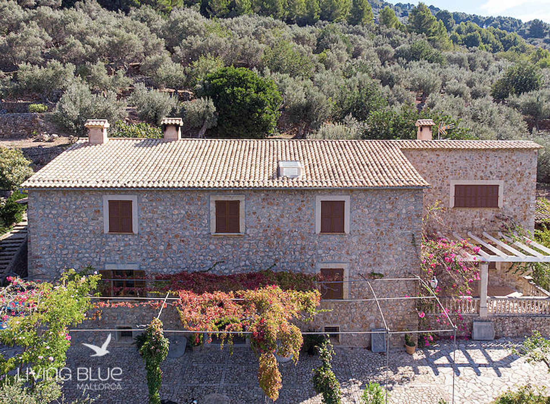 Altro nel Sóller, Balearic Islands 11789127