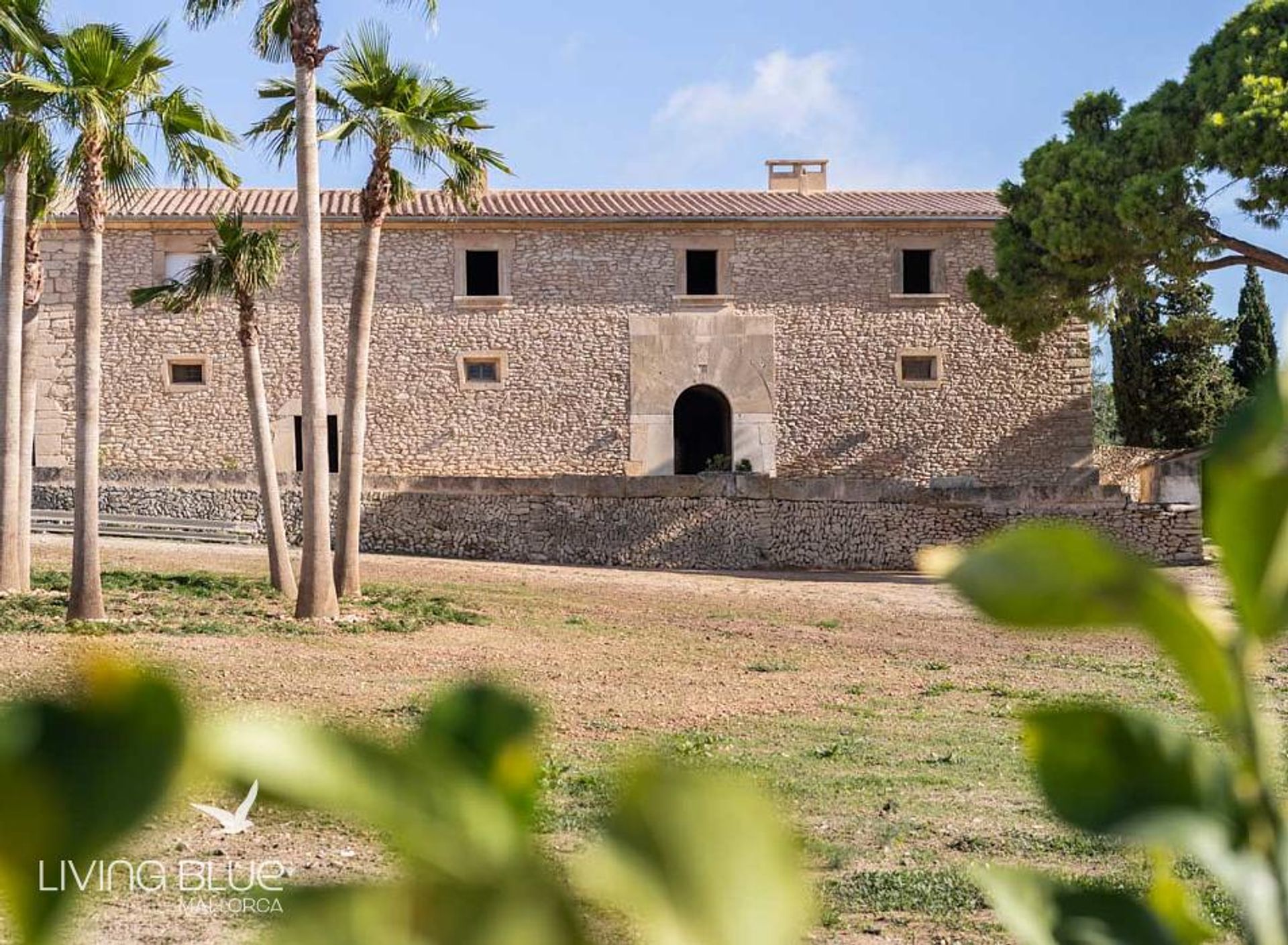 Andet i Algaida, Baleariske Øer 11789198