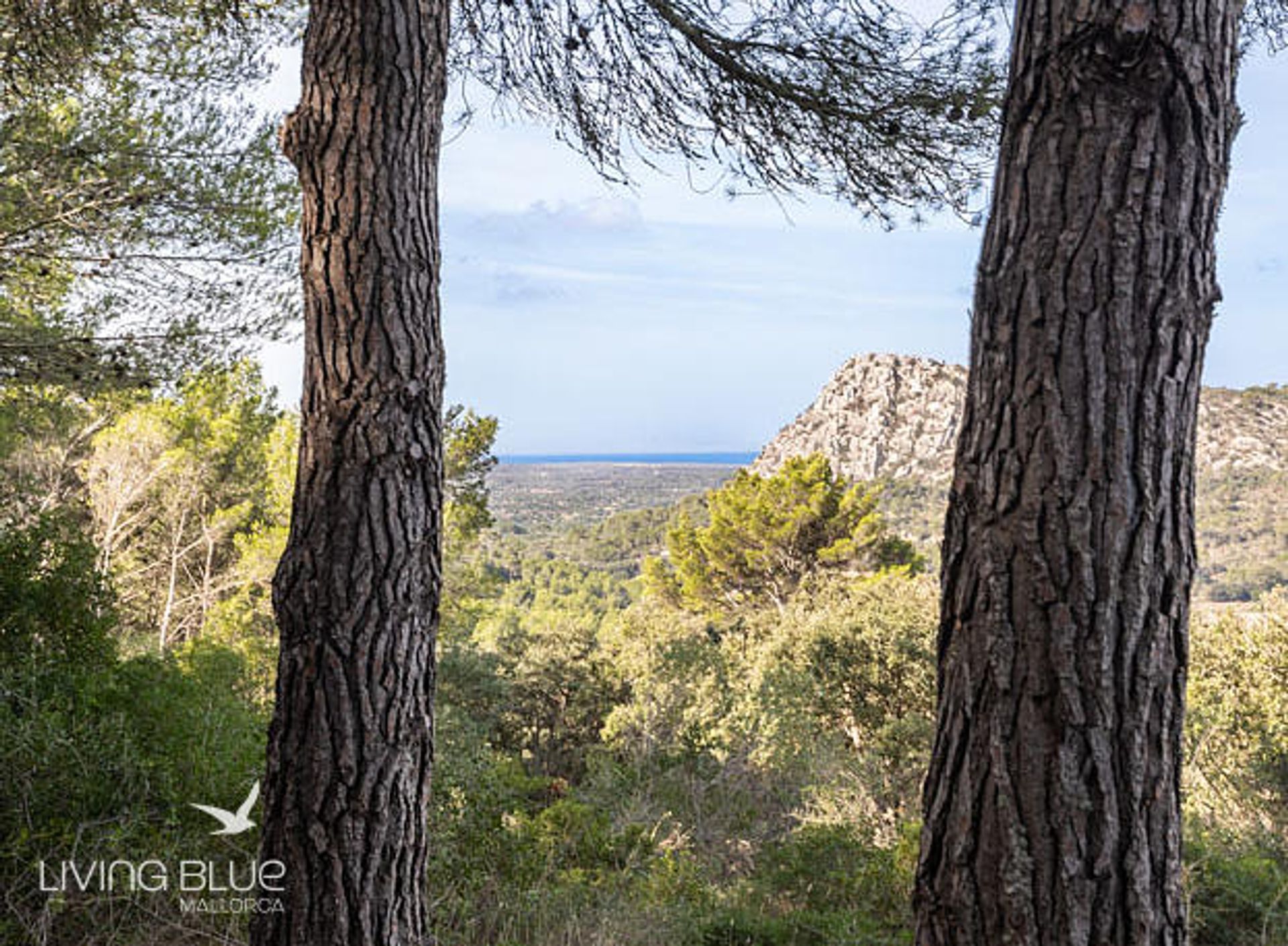 Muu sisään Algaida, Balearic Islands 11789198