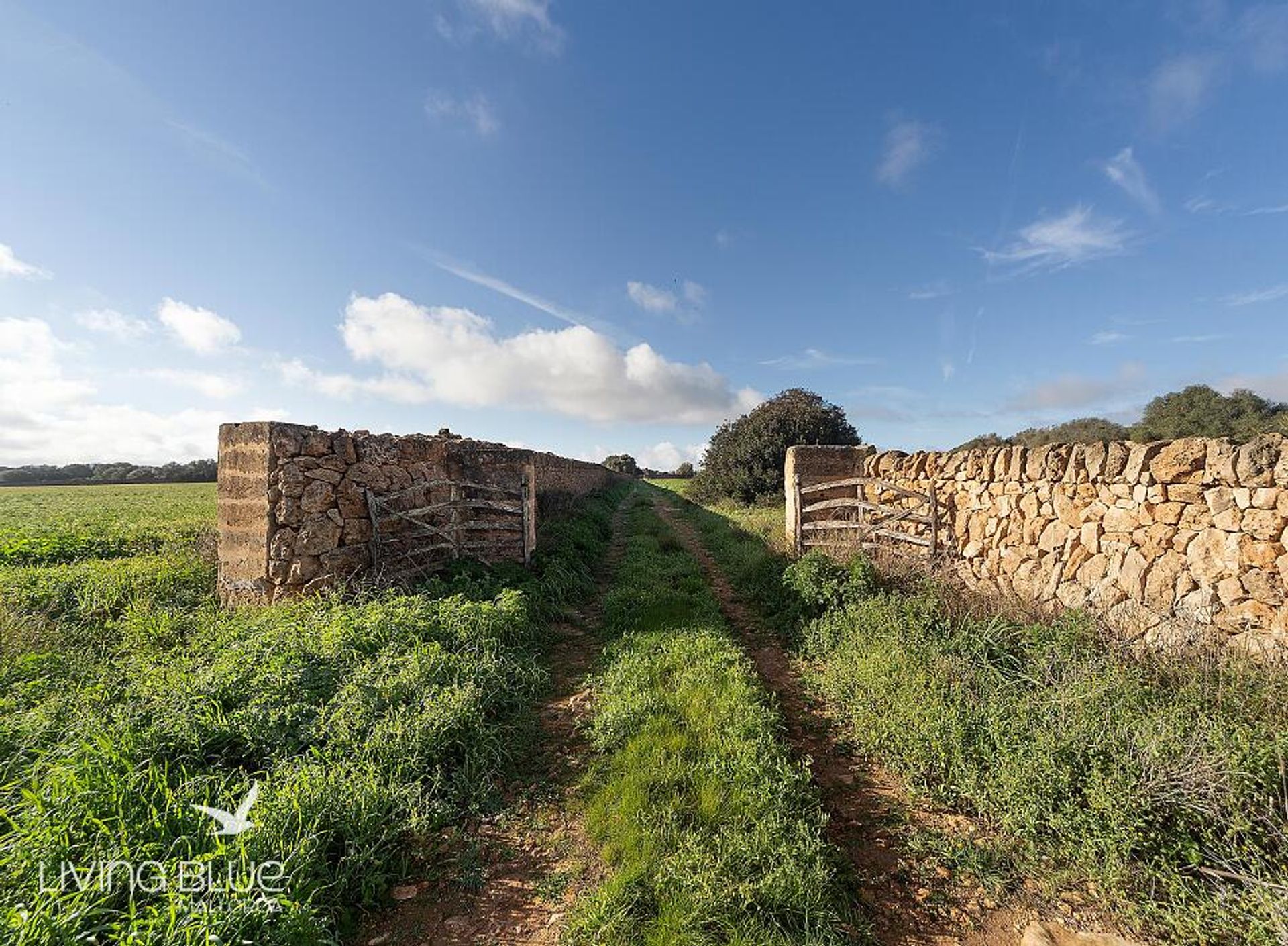 жилой дом в , Balearic Islands 11789223