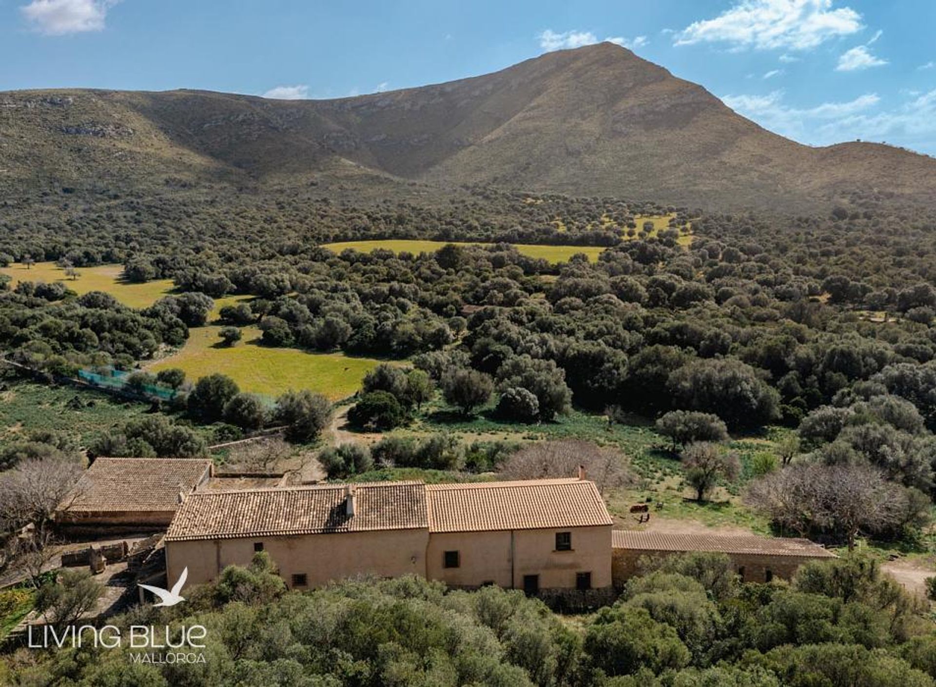 其他 在 Colònia de Sant Pere, Balearic Islands 11789264