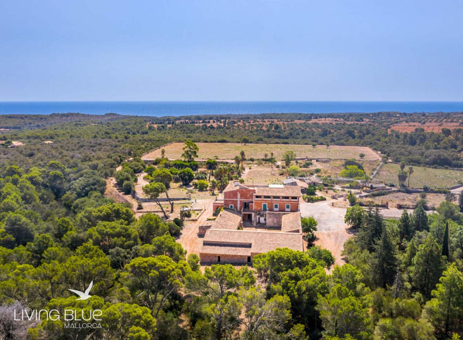 Muu sisään Cales de Mallorca, Illes Balears 11789735