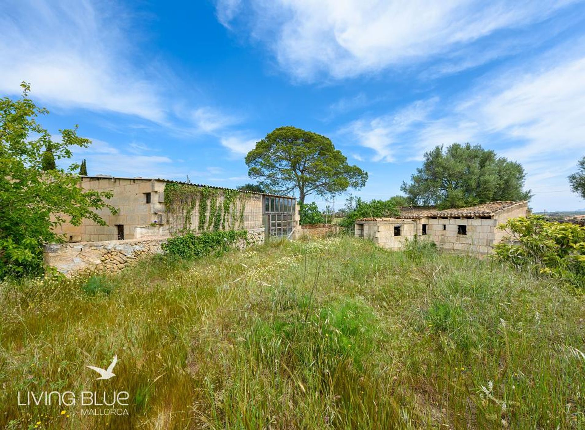 其他 在 Son Serra de Marina, Balearic Islands 11789745