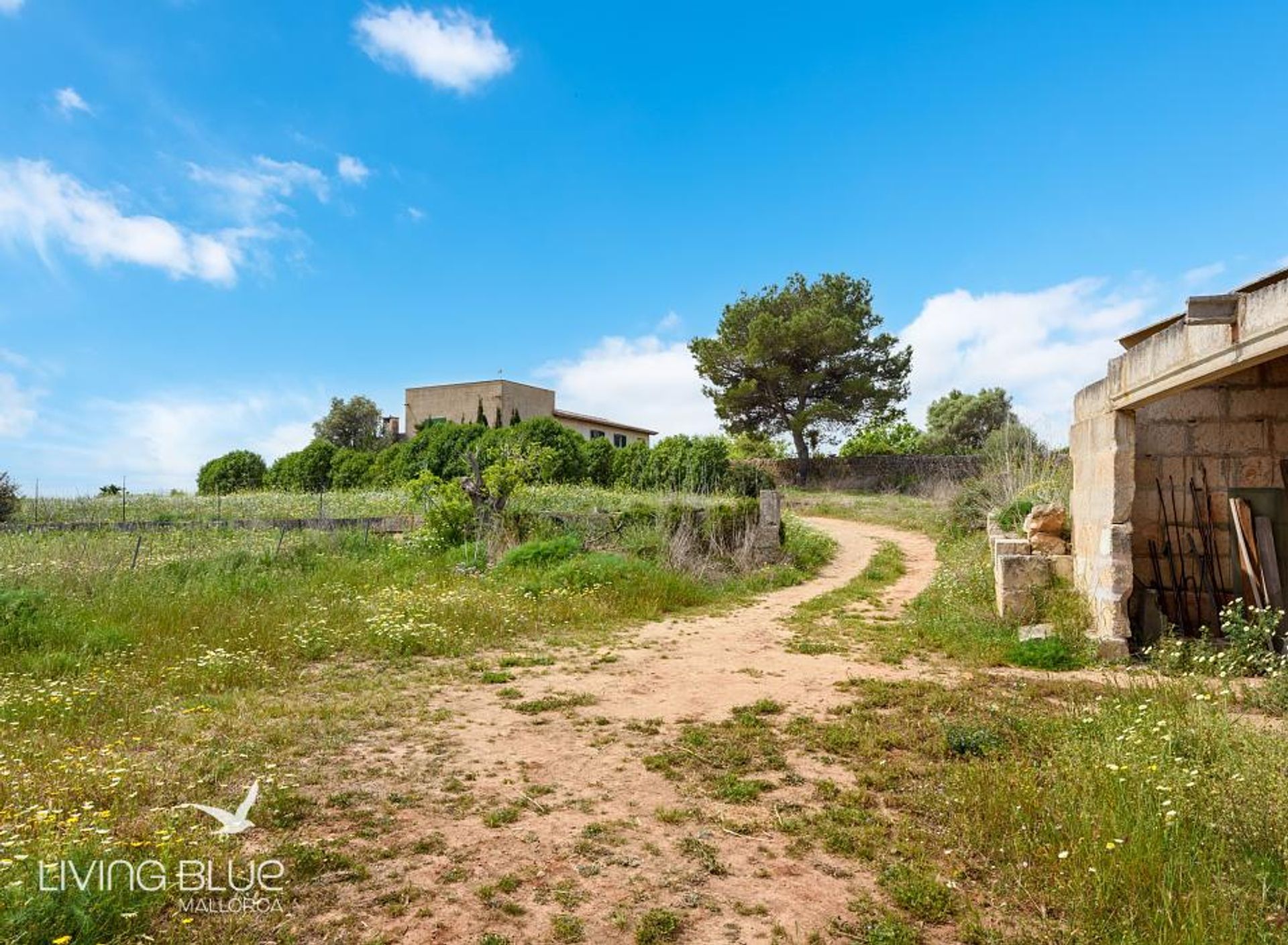 其他 在 Son Serra de Marina, Balearic Islands 11789745