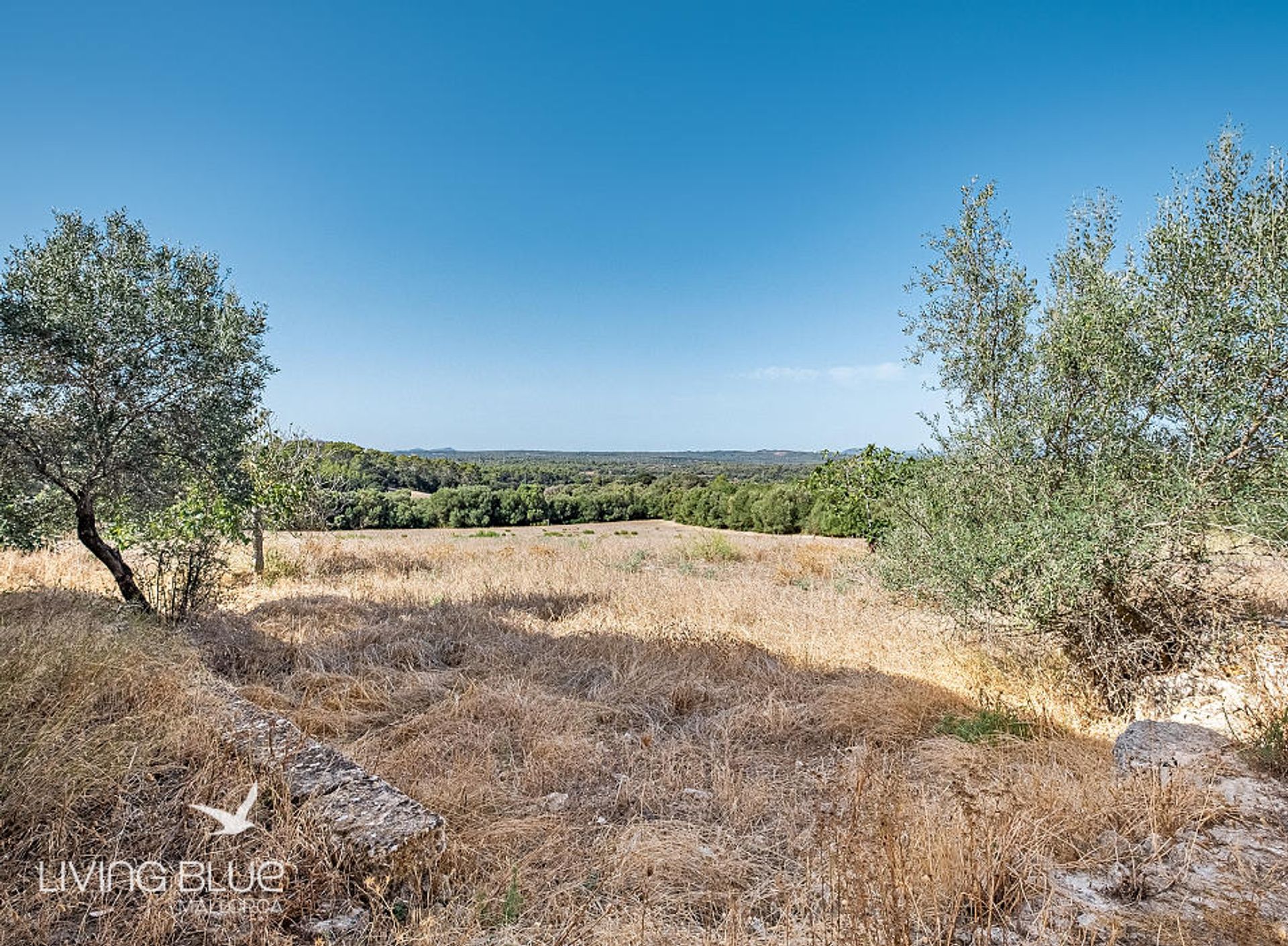 Yang lain dalam Llubí, Balearic Islands 11789825