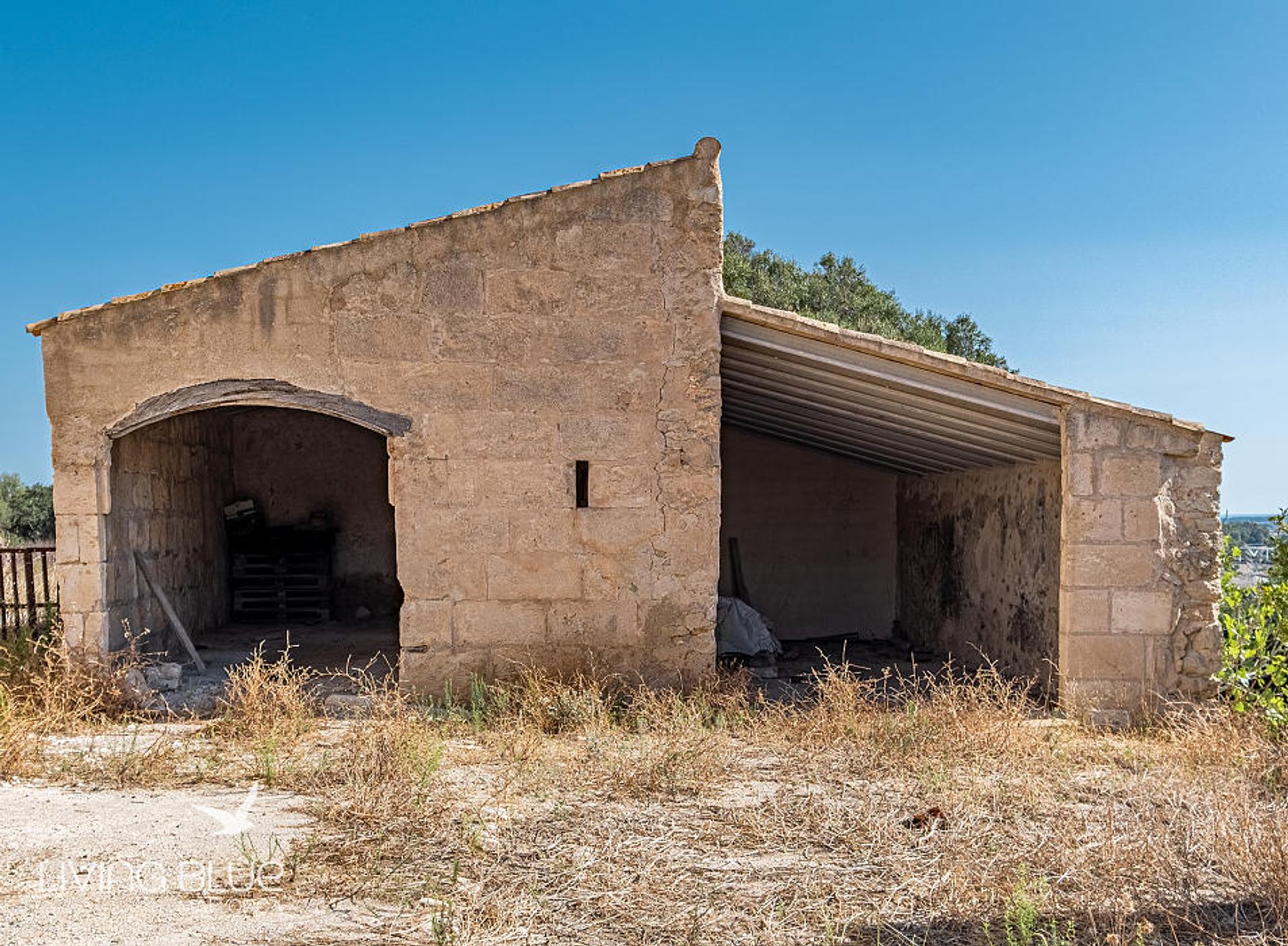 Yang lain dalam Llubí, Balearic Islands 11789825