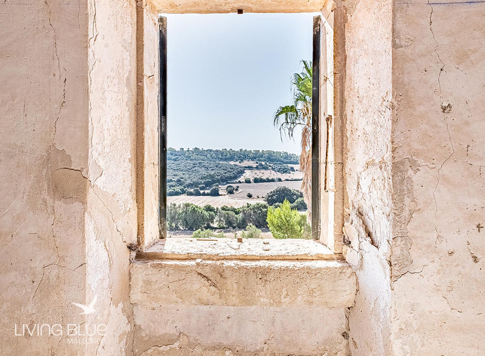 Yang lain dalam Llubí, Balearic Islands 11789825