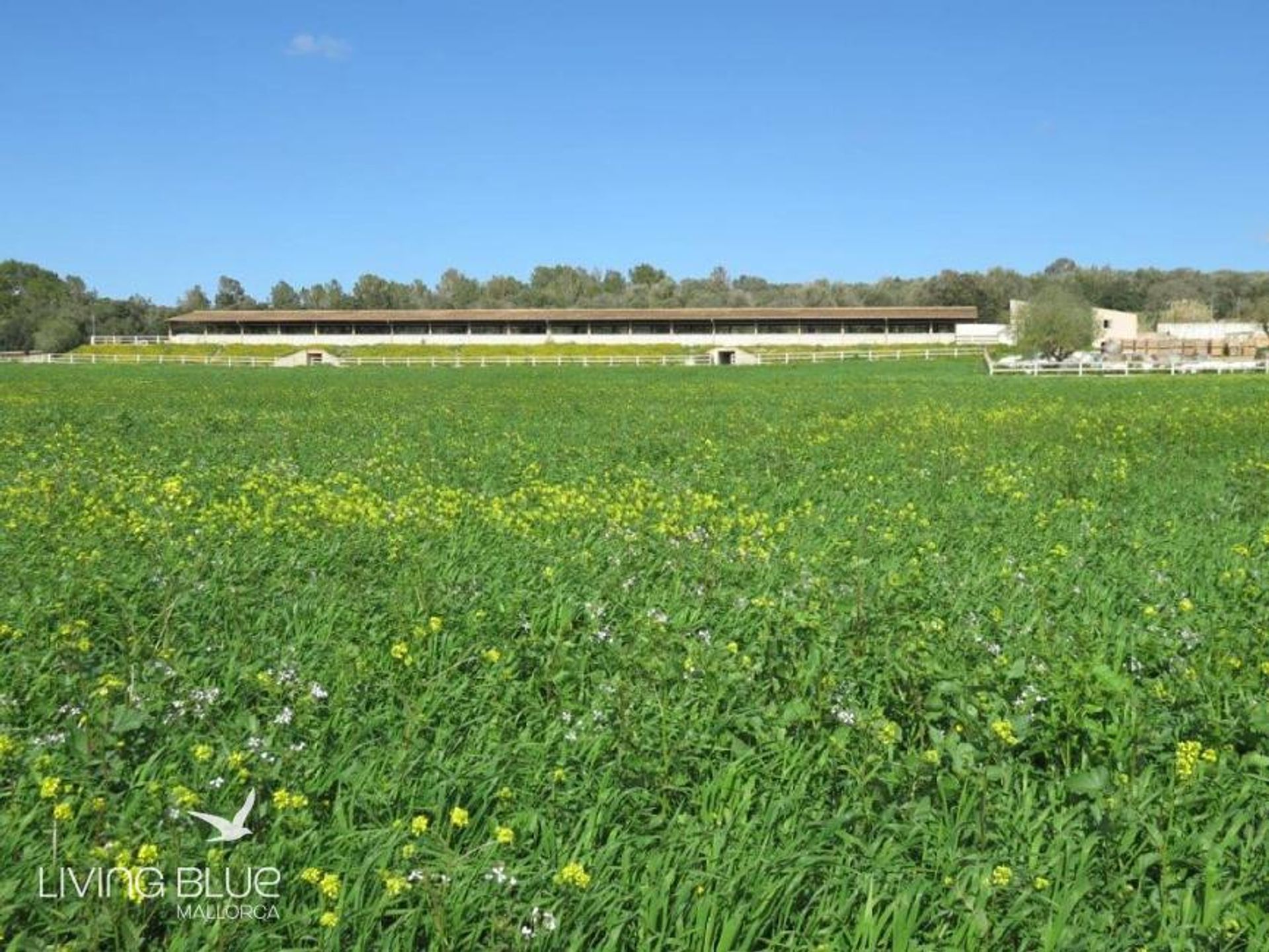 Muu sisään Campos del Puerto, Balearic Islands 11789859