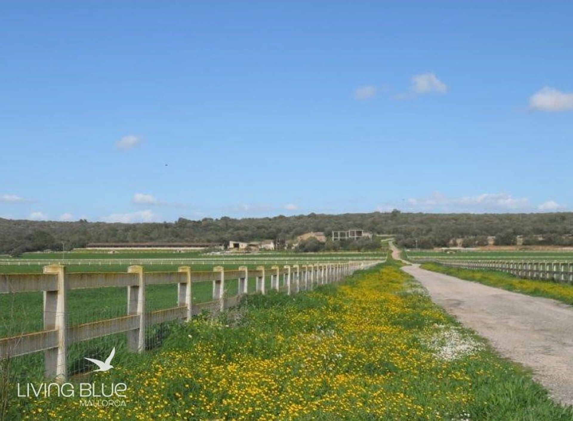 其他 在 Campos del Puerto, Balearic Islands 11789859