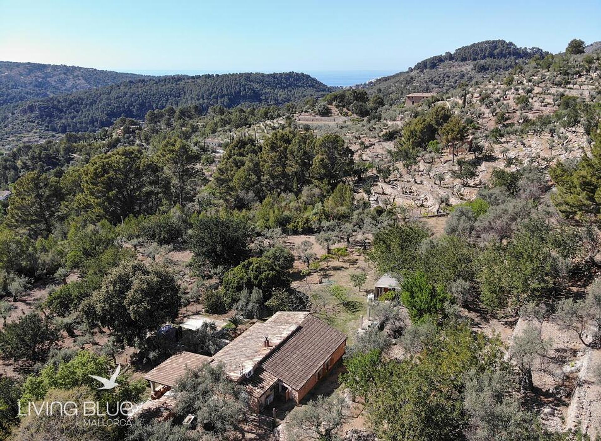 آخر في Sóller, Balearic Islands 11789866