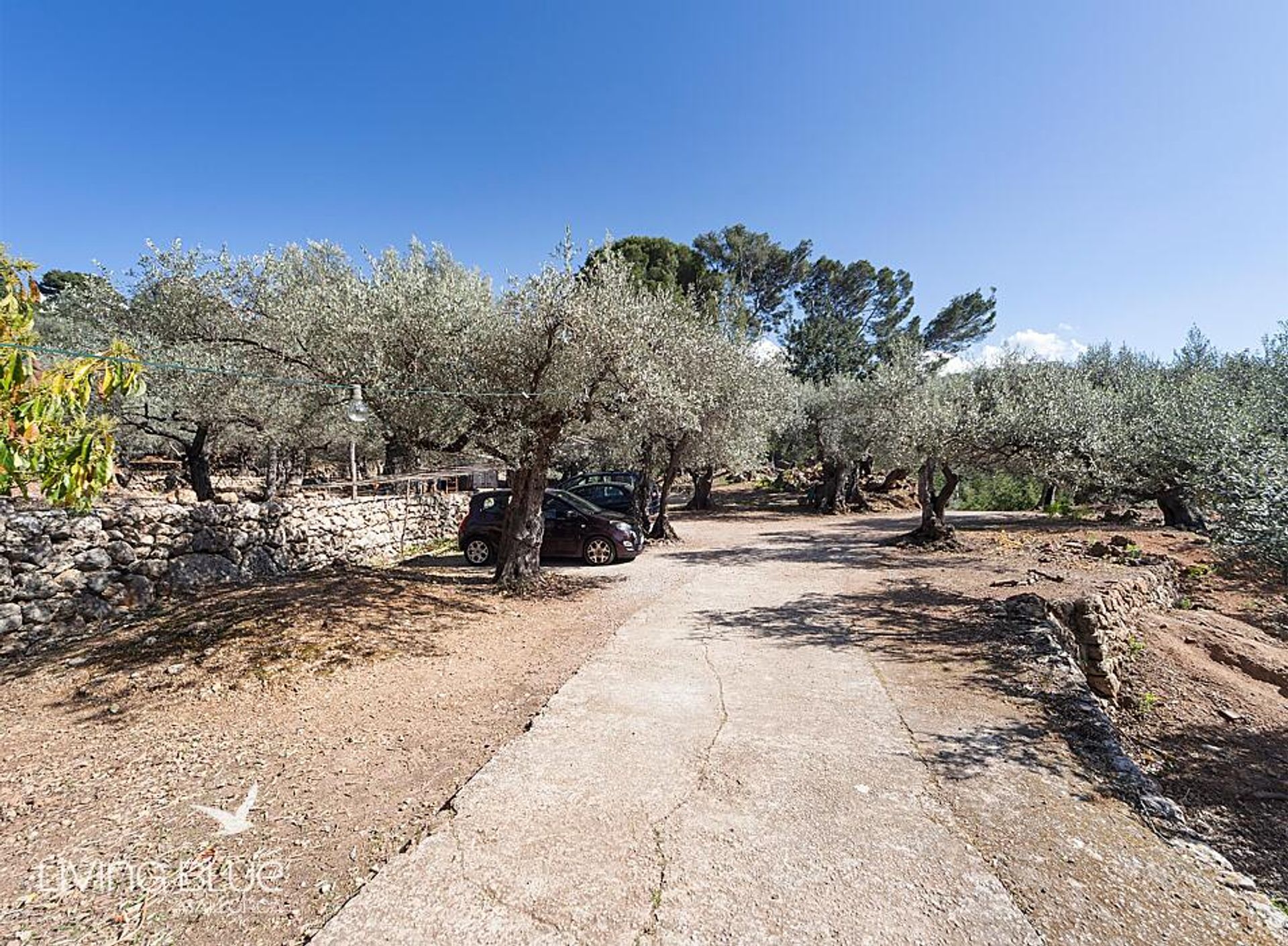 Inny w Sóller, Balearic Islands 11789866