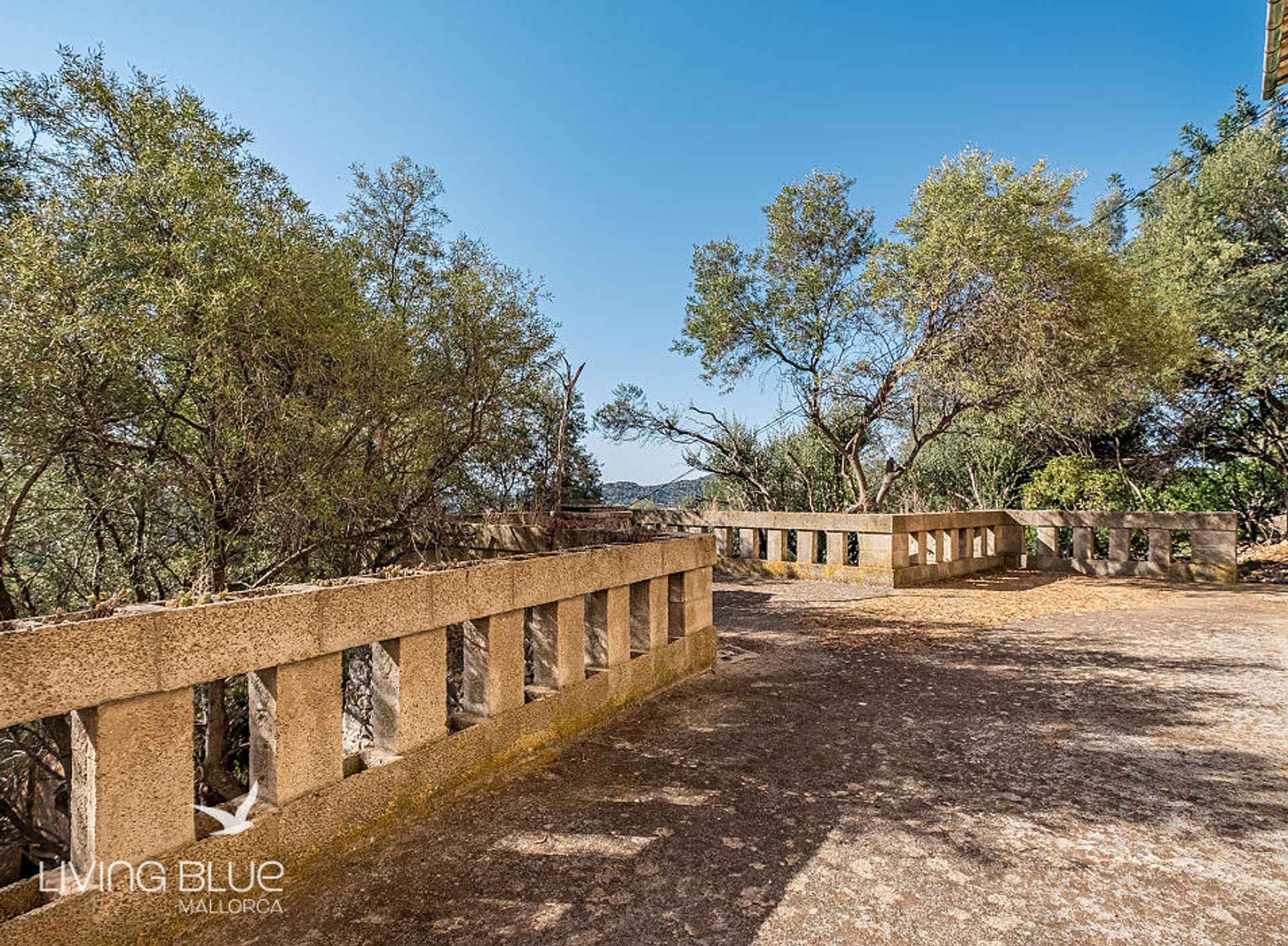 Haus im Alaró, Balearic Islands 11789888