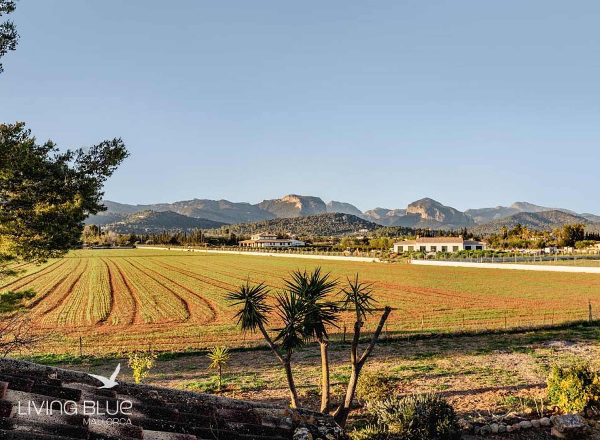 Andet i , Balearic Islands 11789908