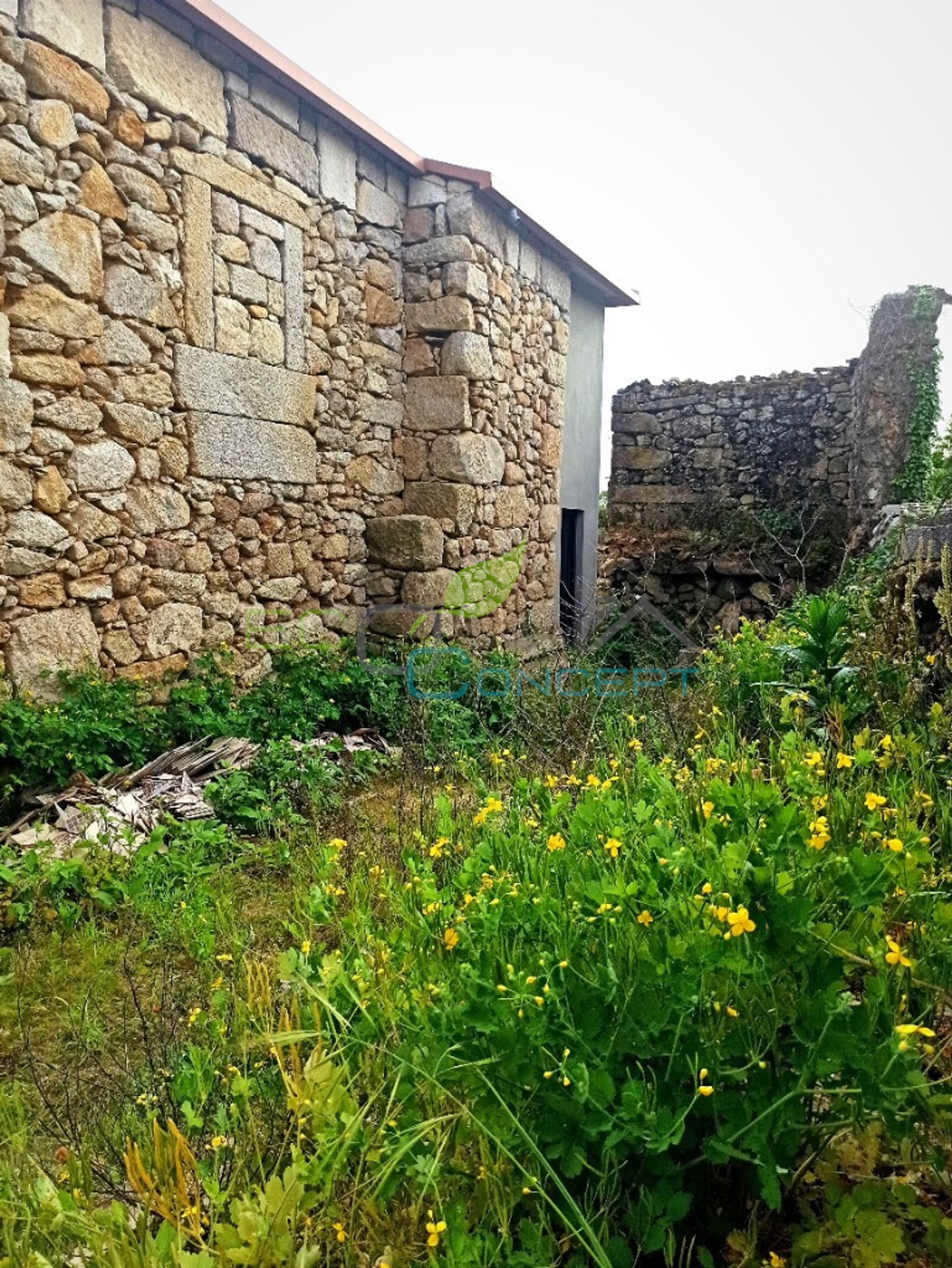 casa en pensamiento, Viseu 11793563