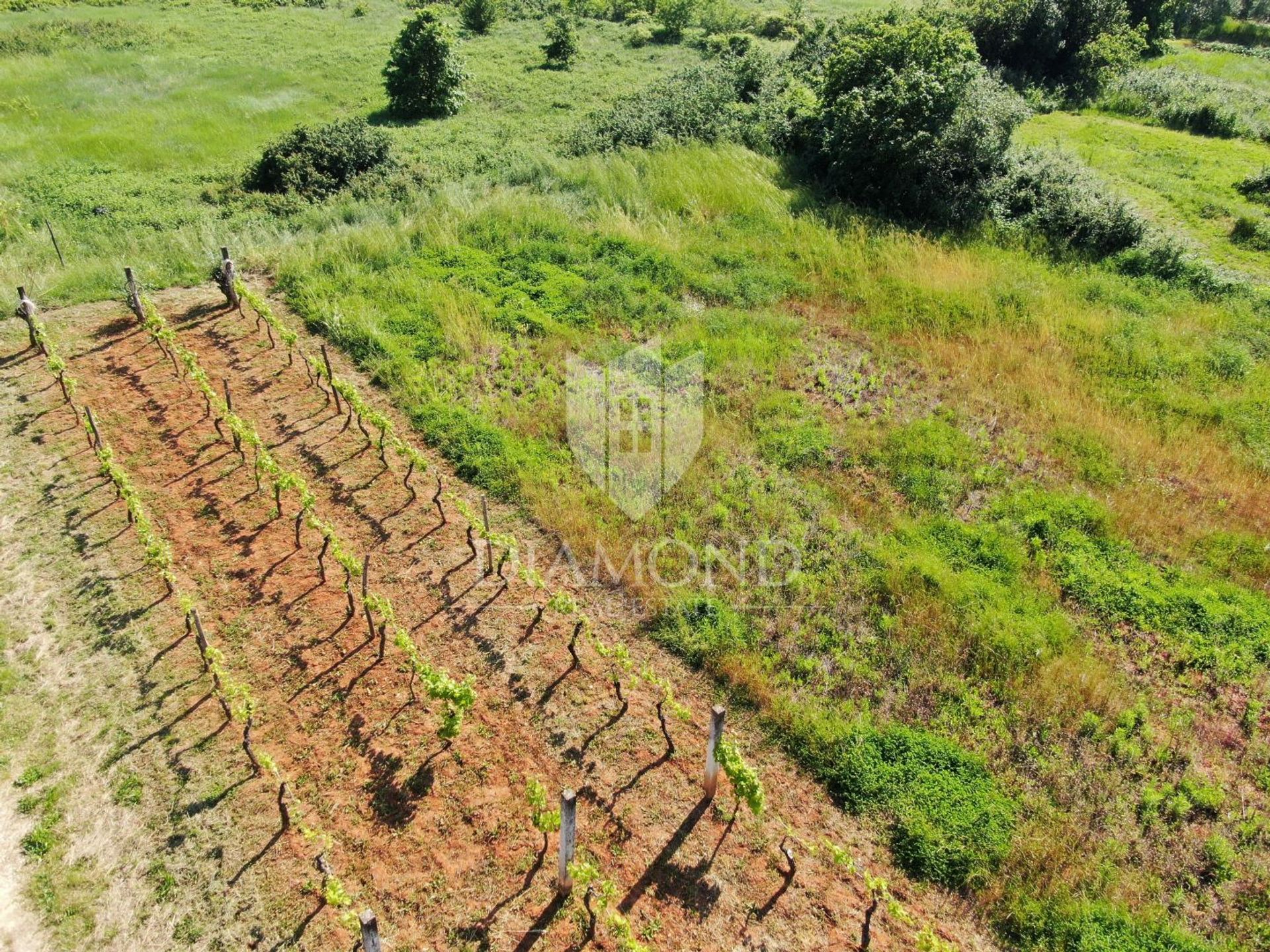 Land in Marcana, Istarska Zupanija 11793611