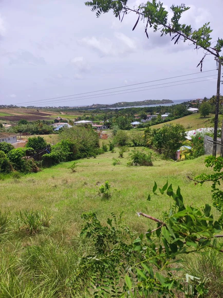 Land in Le Vauclin, Martinique 11794077
