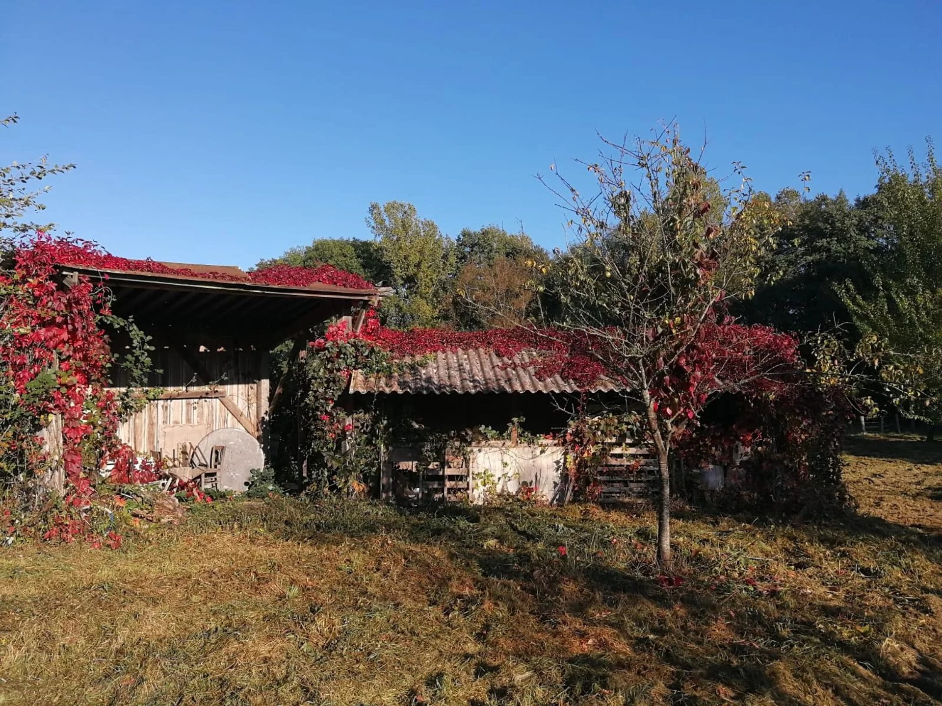 Haus im Seuil-d'Argonne, Meuse 11794148