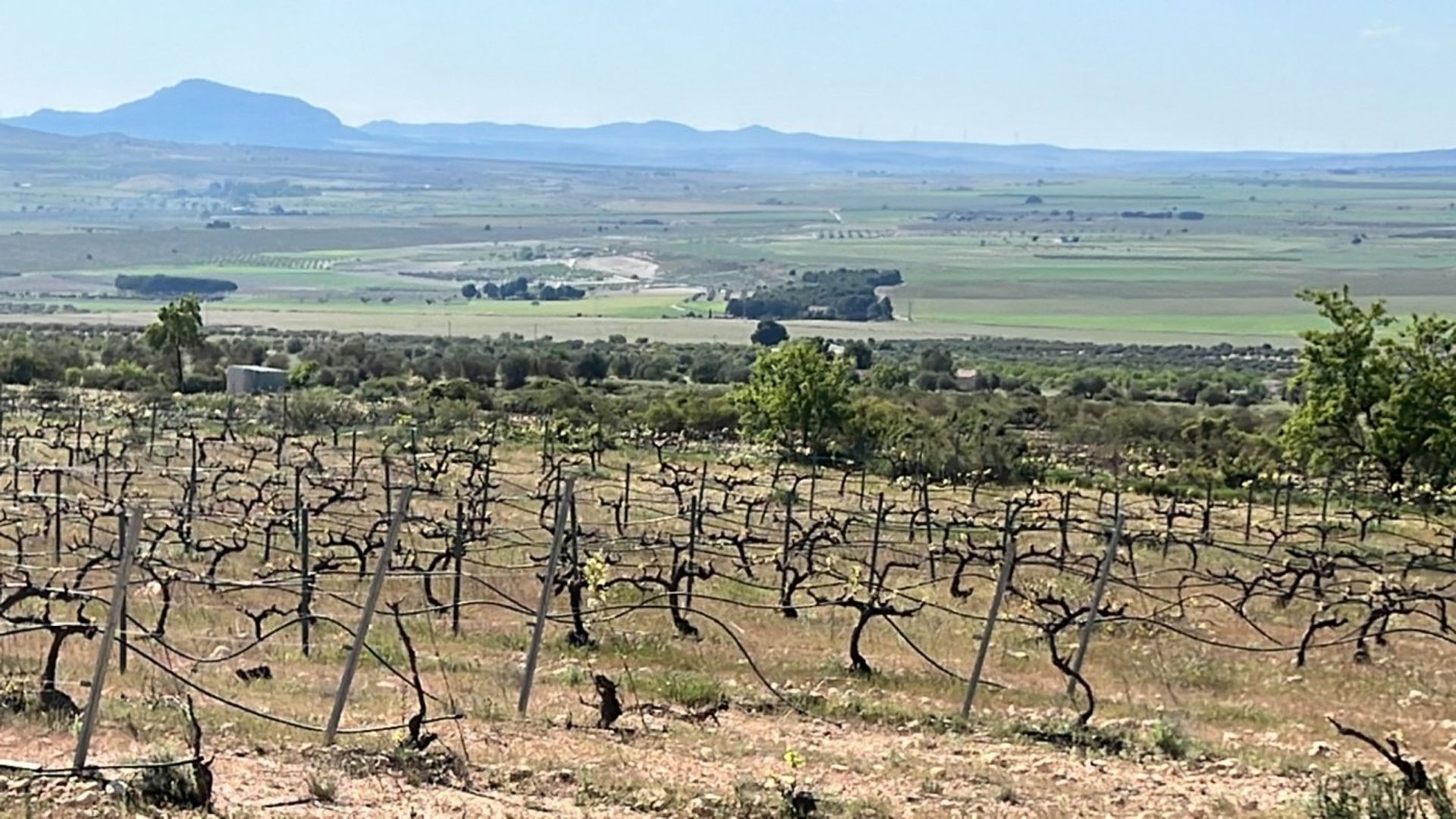 loger dans Yecla, Región de Murcia 11794332