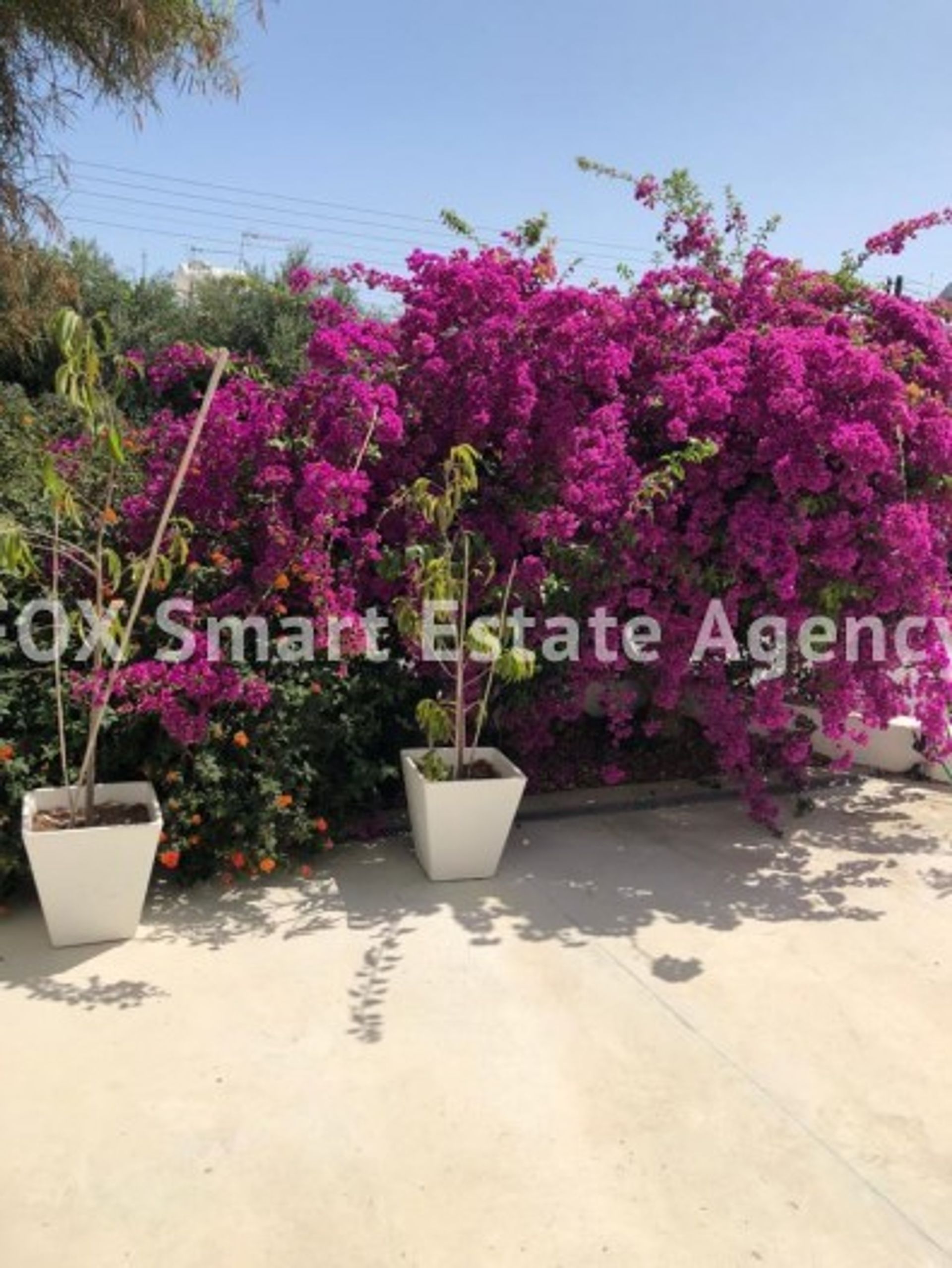 House in Larnaca, Larnaca 11795769