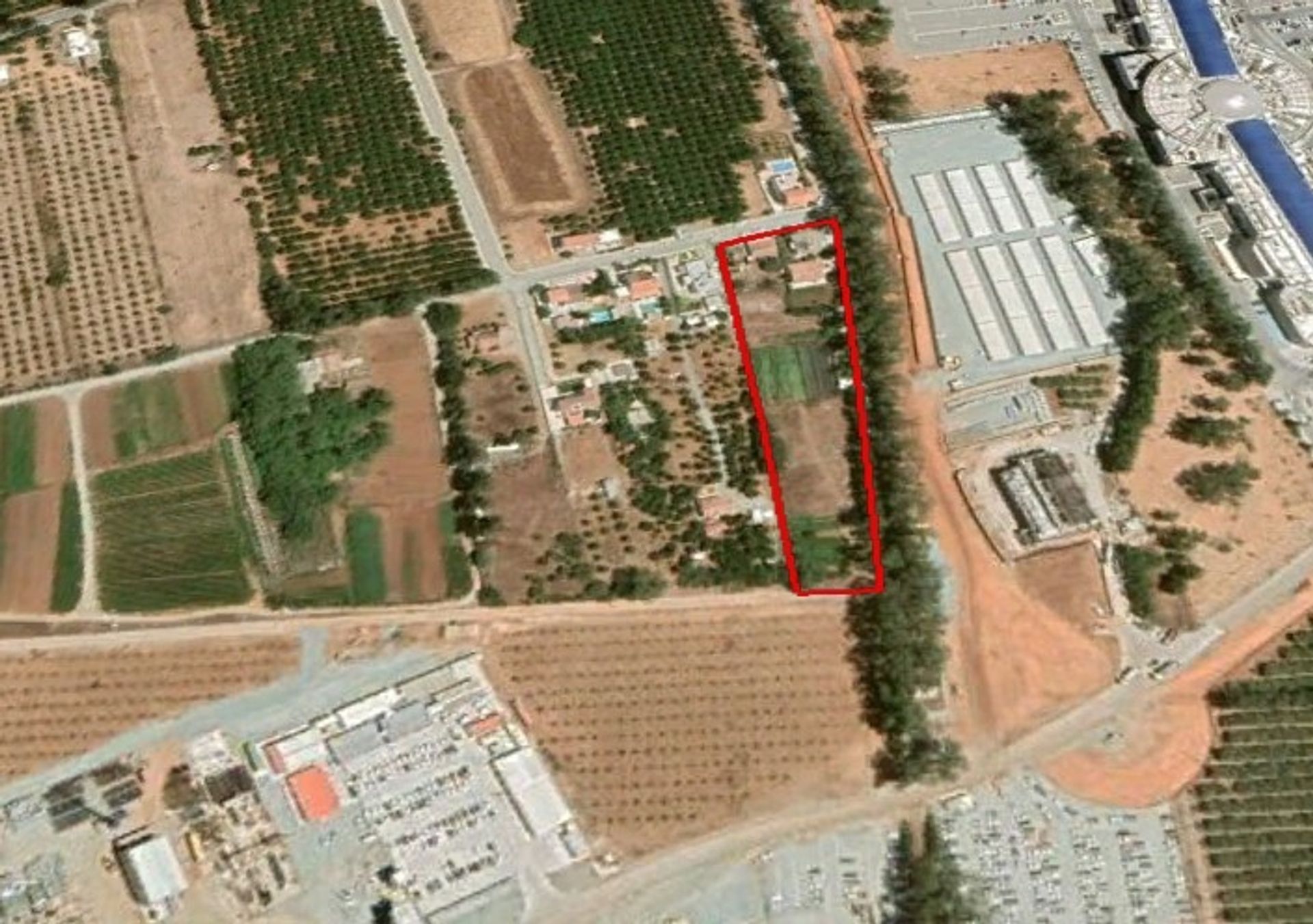 Terre dans Limassol, Lémésos 11796901