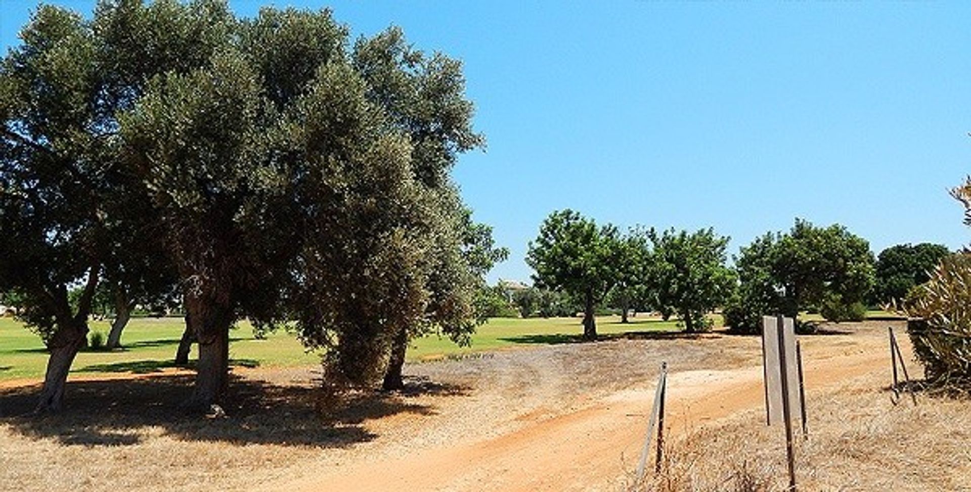 Land im Agia Marinouda, Pafos 11797197