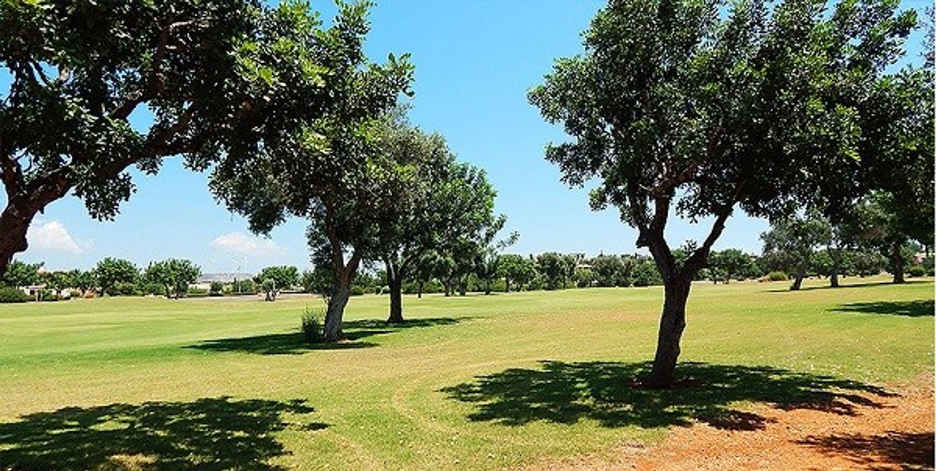 Land im Agia Marinouda, Pafos 11797197