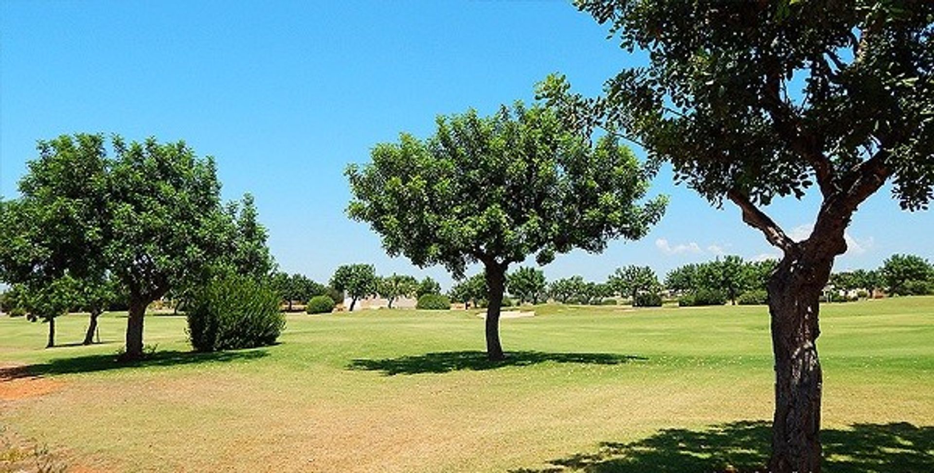 Land im Agia Marinouda, Pafos 11797197