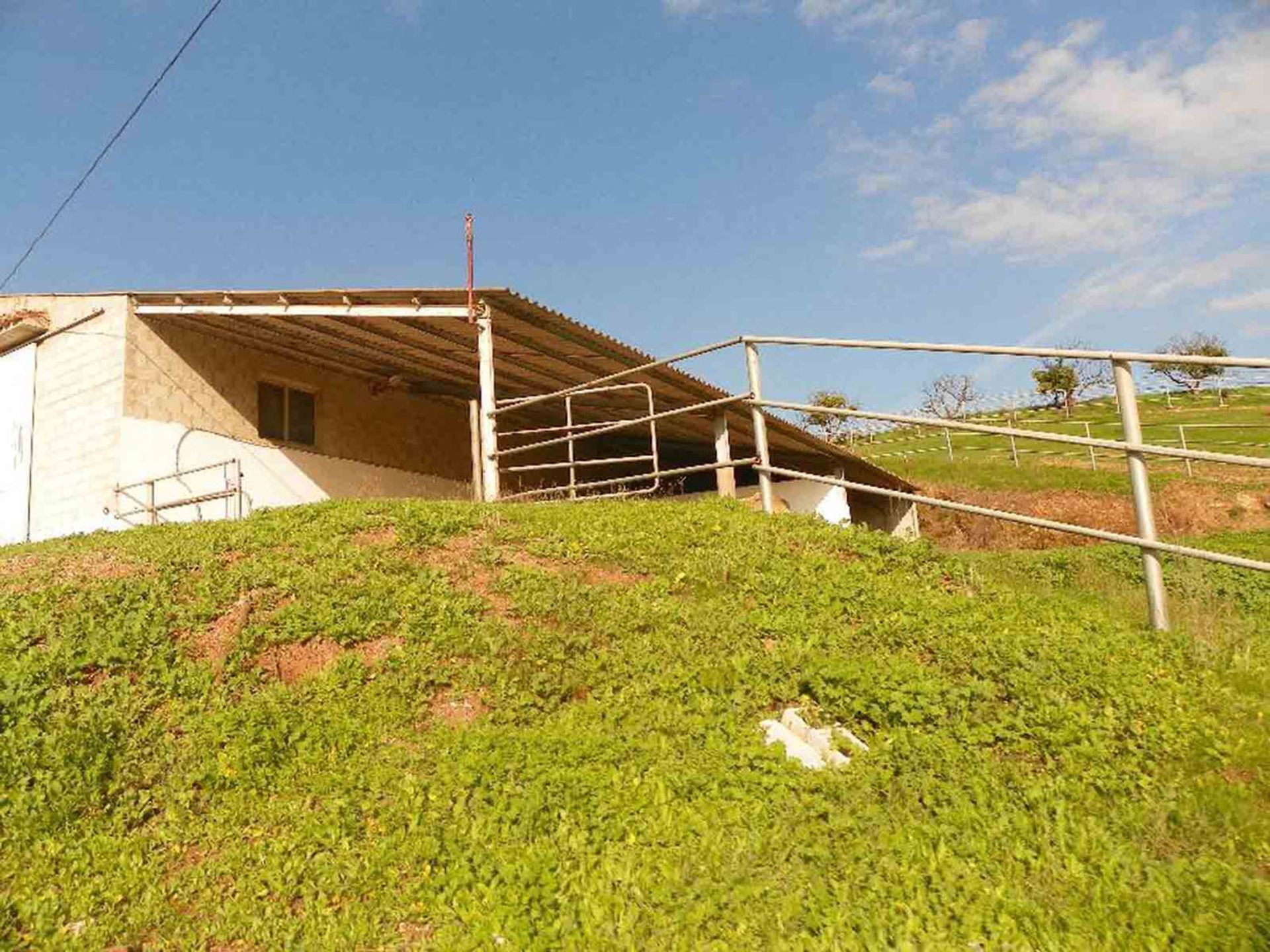 House in Coín, Andalusia 11800256