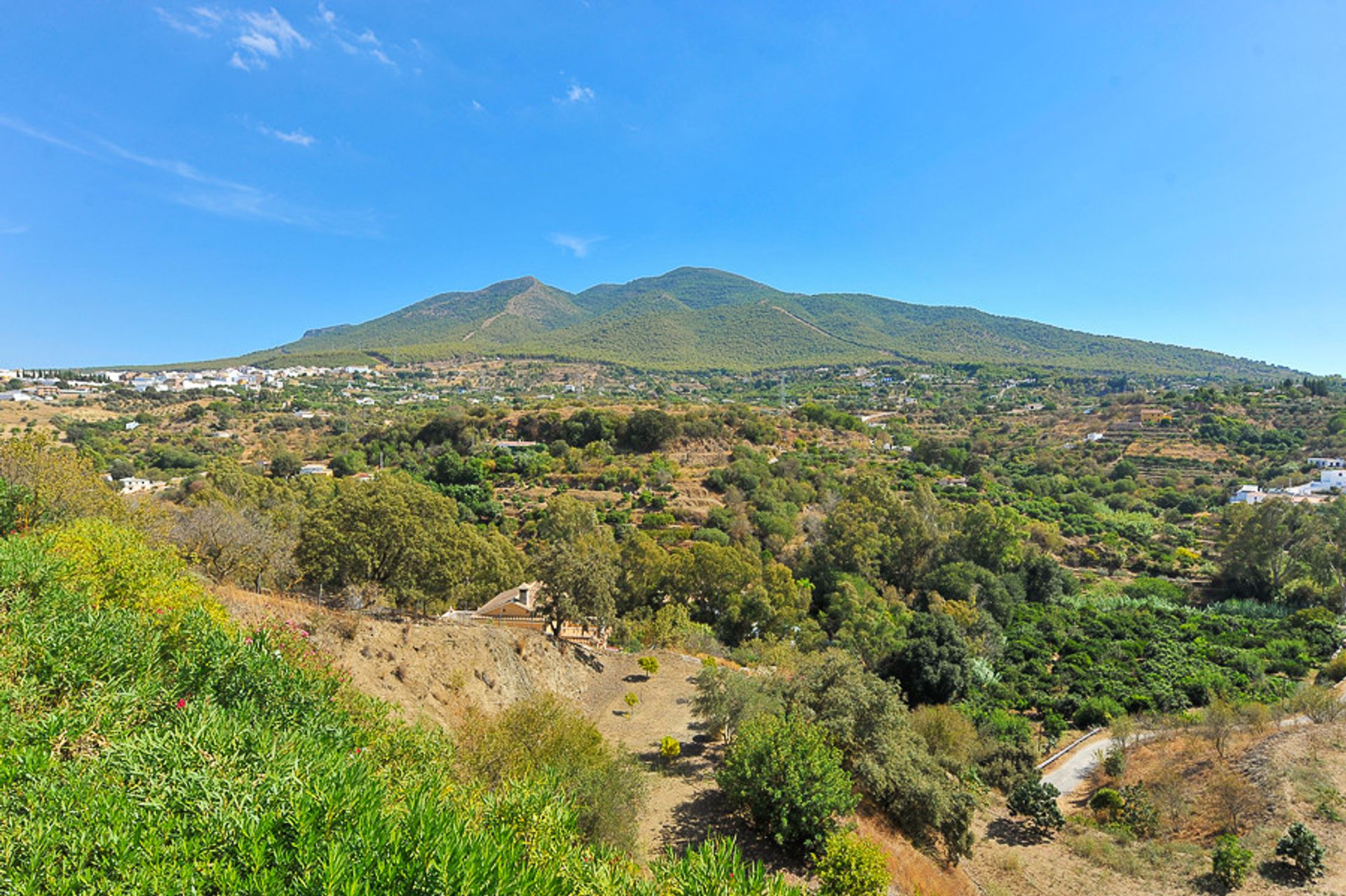 房子 在 Alhaurín el Grande, Andalusia 11800827