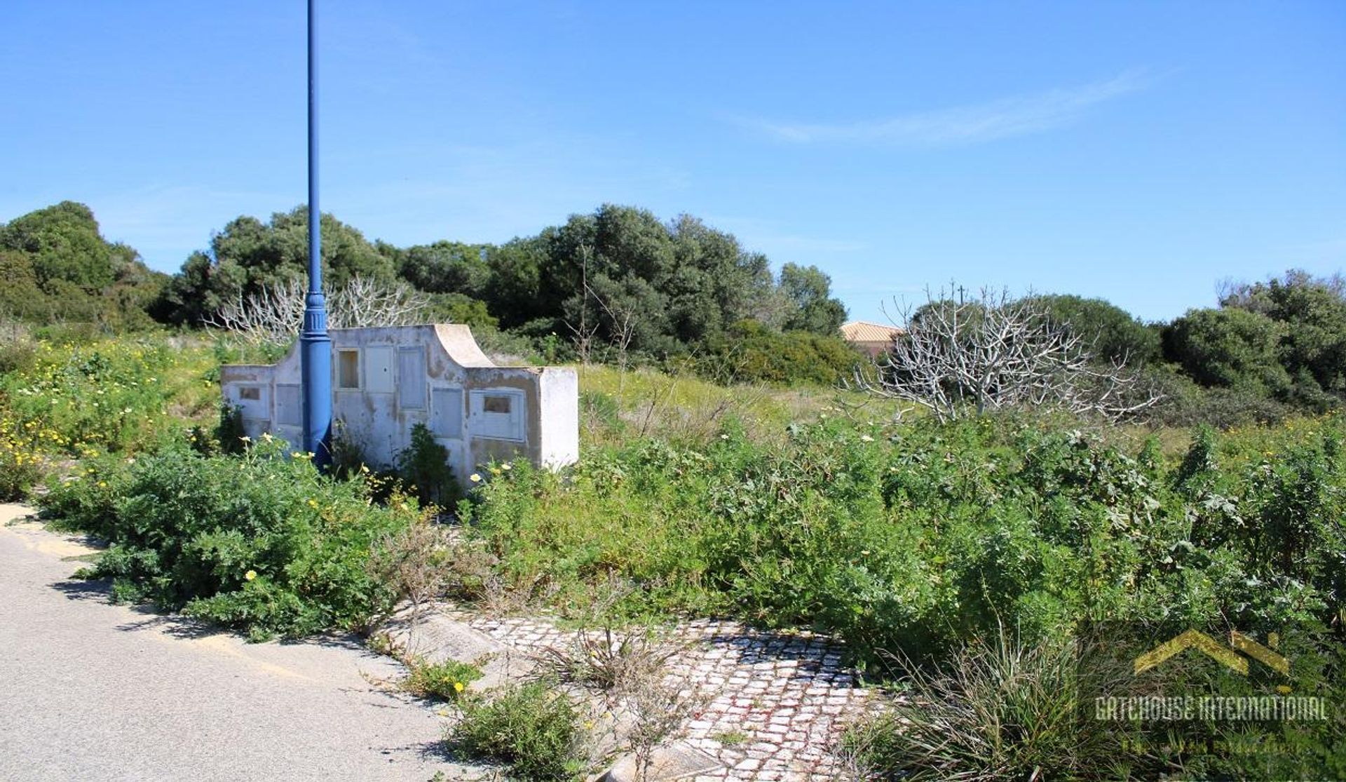 Terre dans Sagres, Faro 11801186