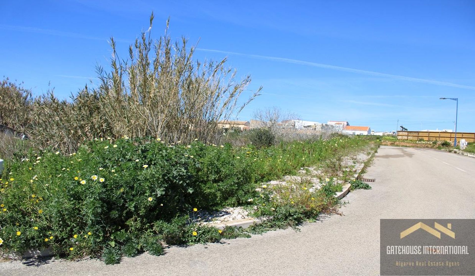 Land in Sagres, Faro 11801192