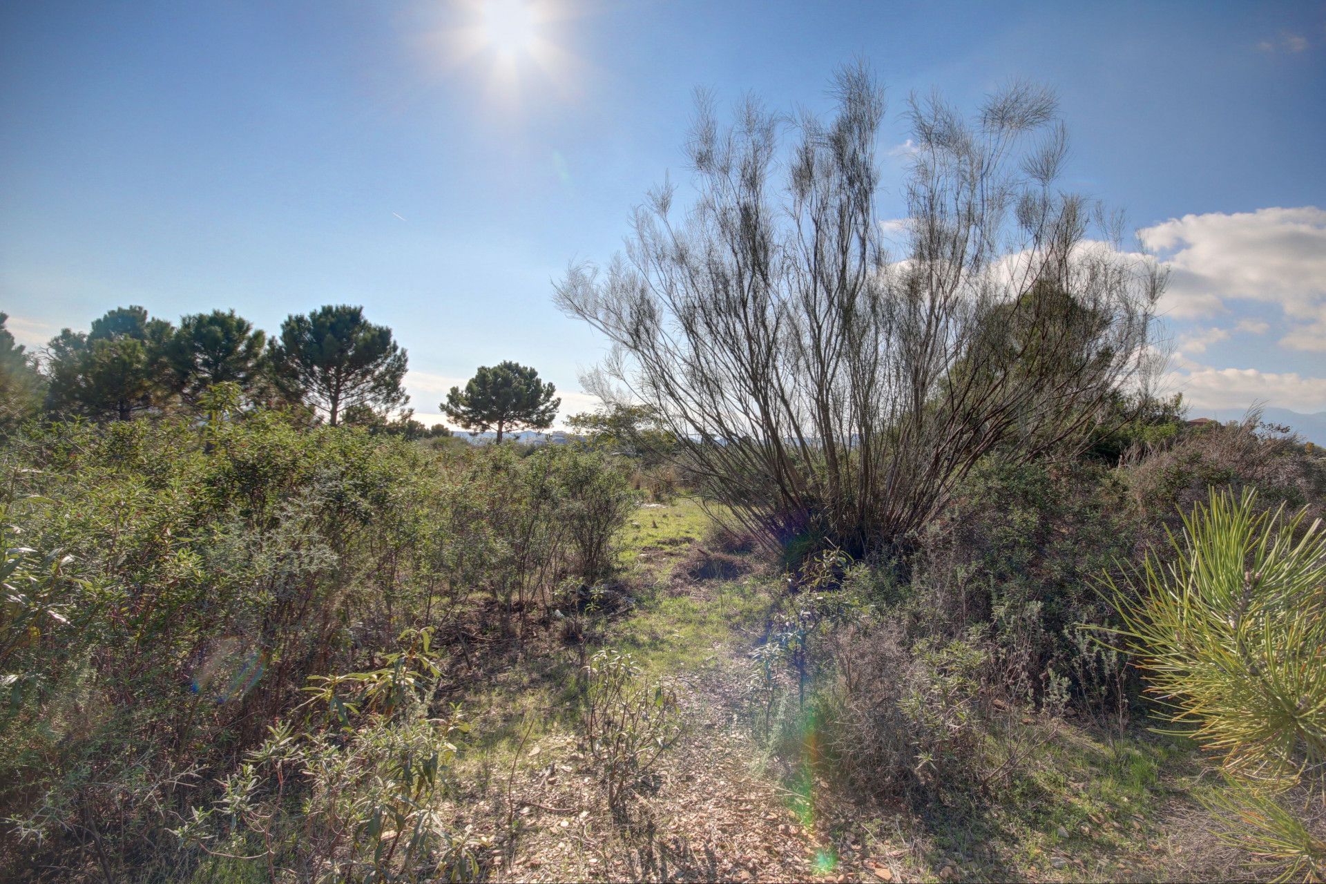 Land in Benahavís, Andalucía 11801202