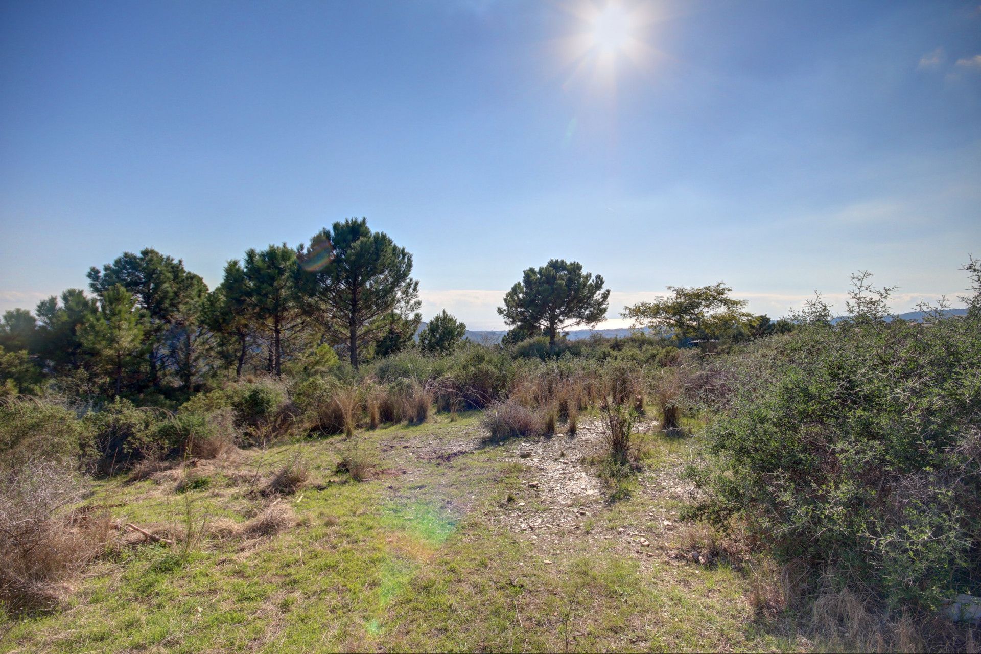 Land in Benahavís, Andalucía 11801202